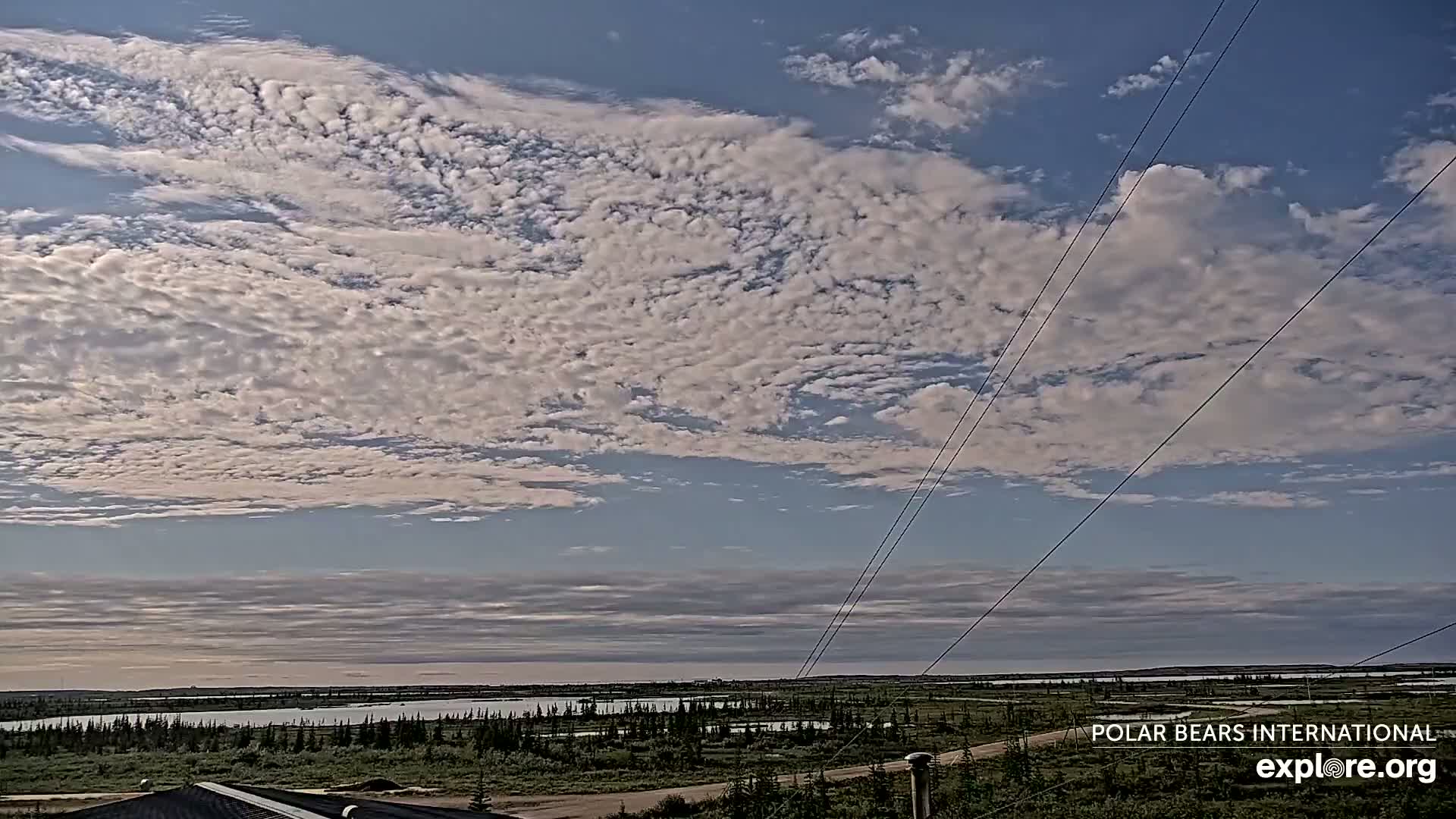 Churchill Marine Observatory, Northern Lights / Aurora Borealis / Stars View Live Cam - Churchill, Division No. 23, Northern Manitoba, Manitoba, Canada 