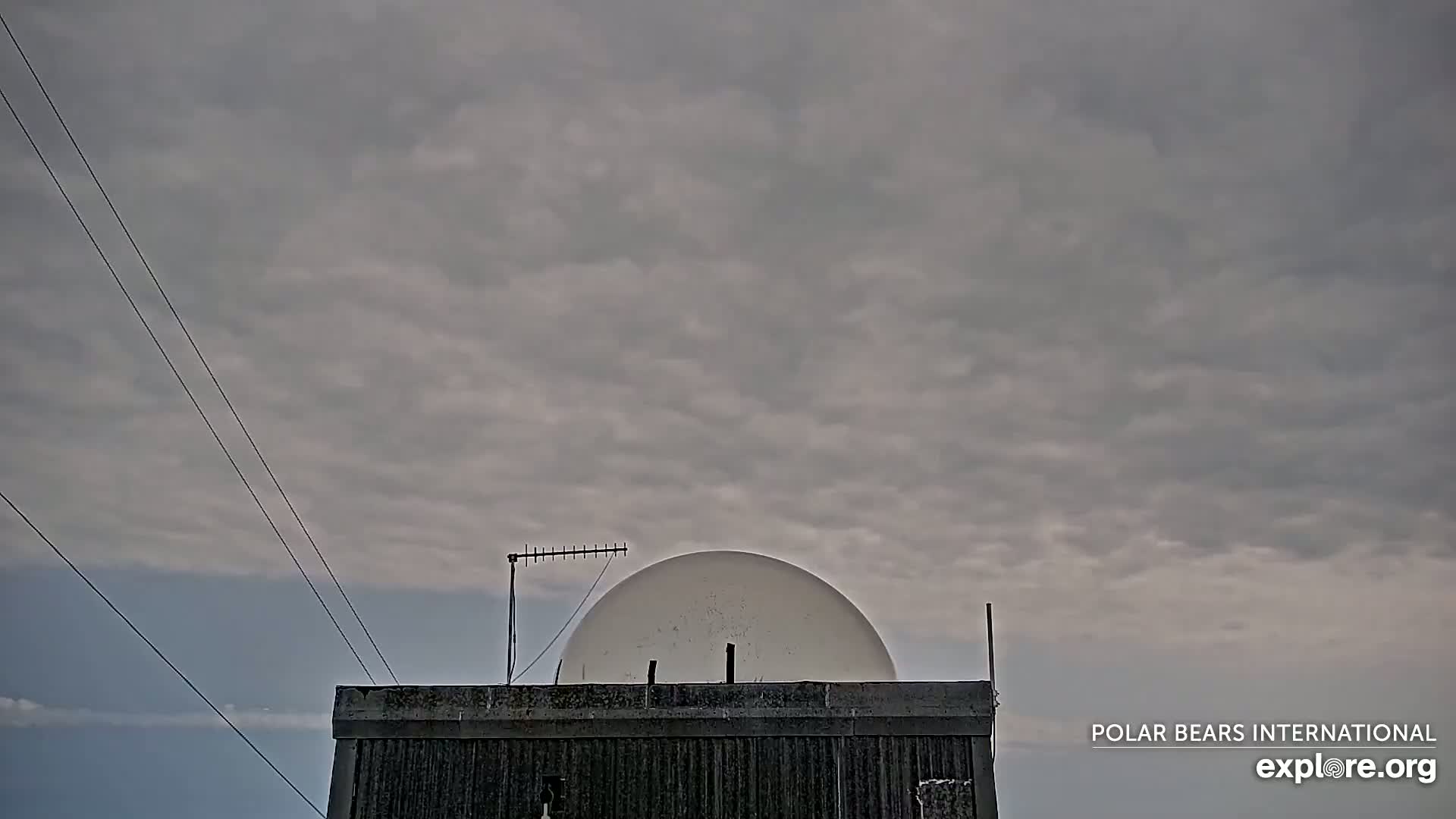 Churchill Marine Observatory, Northern Lights / Aurora Borealis / Stars View Live Cam - Churchill, Division No. 23, Northern Manitoba, Manitoba, Canada 