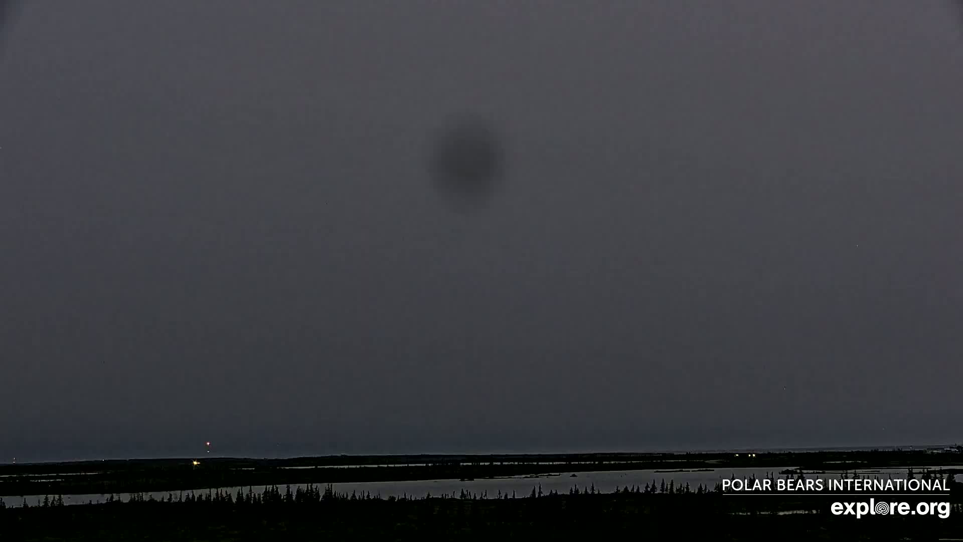 Churchill Marine Observatory, Northern Lights / Aurora Borealis / Stars View Live Cam - Churchill, Division No. 23, Northern Manitoba, Manitoba, Canada 