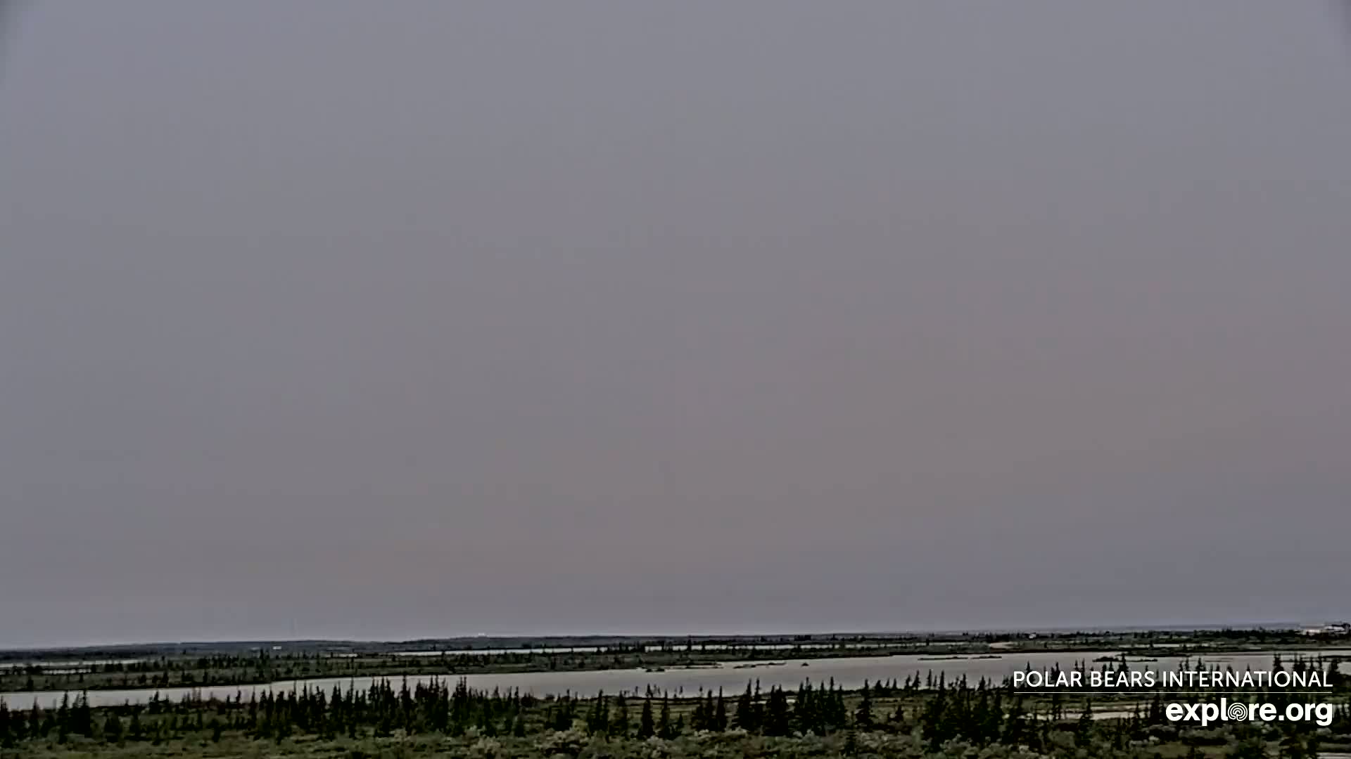 Churchill Marine Observatory, Northern Lights / Aurora Borealis / Stars View Live Cam - Churchill, Division No. 23, Northern Manitoba, Manitoba, Canada 