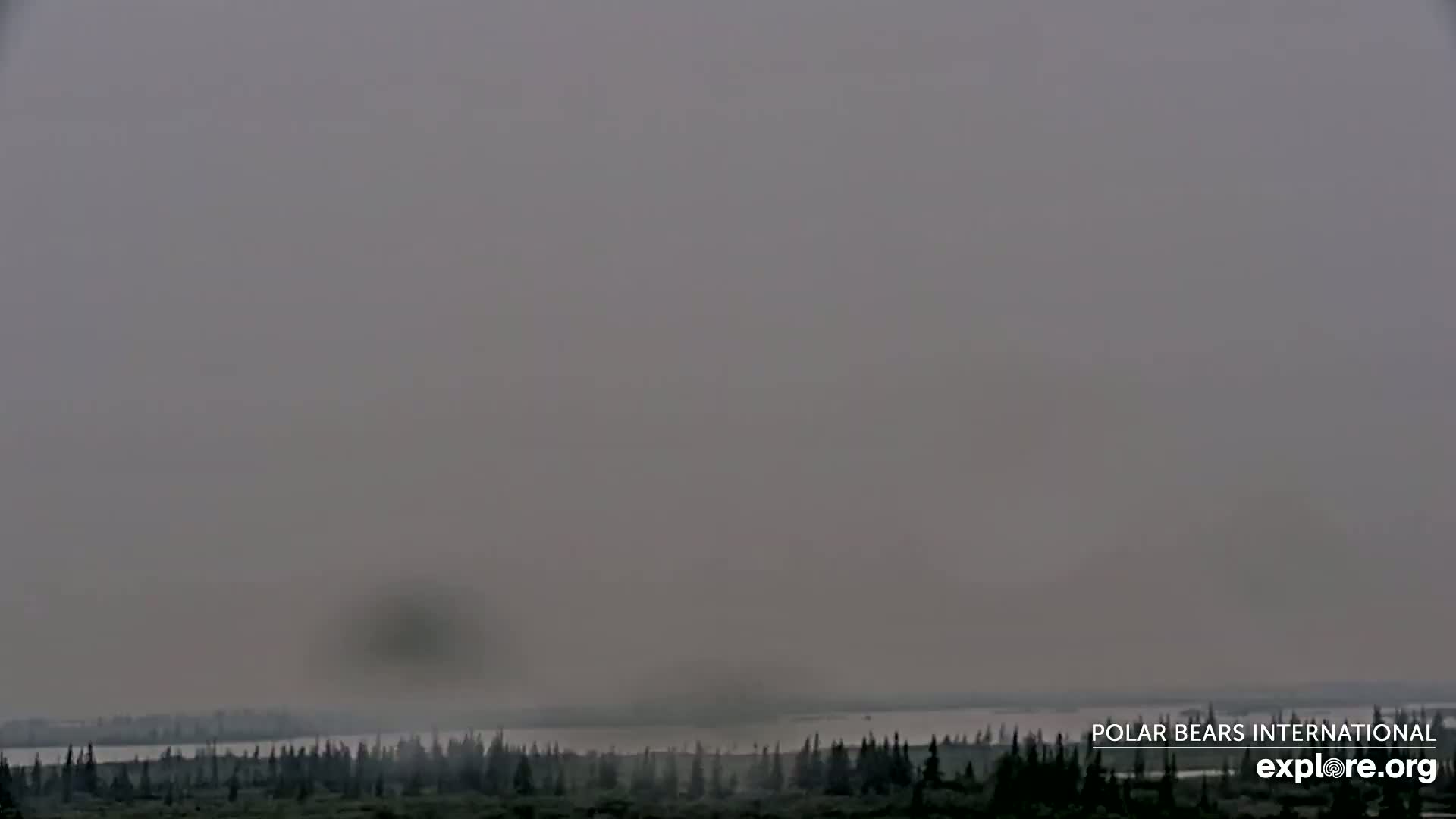Churchill Marine Observatory, Northern Lights / Aurora Borealis / Stars View Live Cam - Churchill, Division No. 23, Northern Manitoba, Manitoba, Canada 