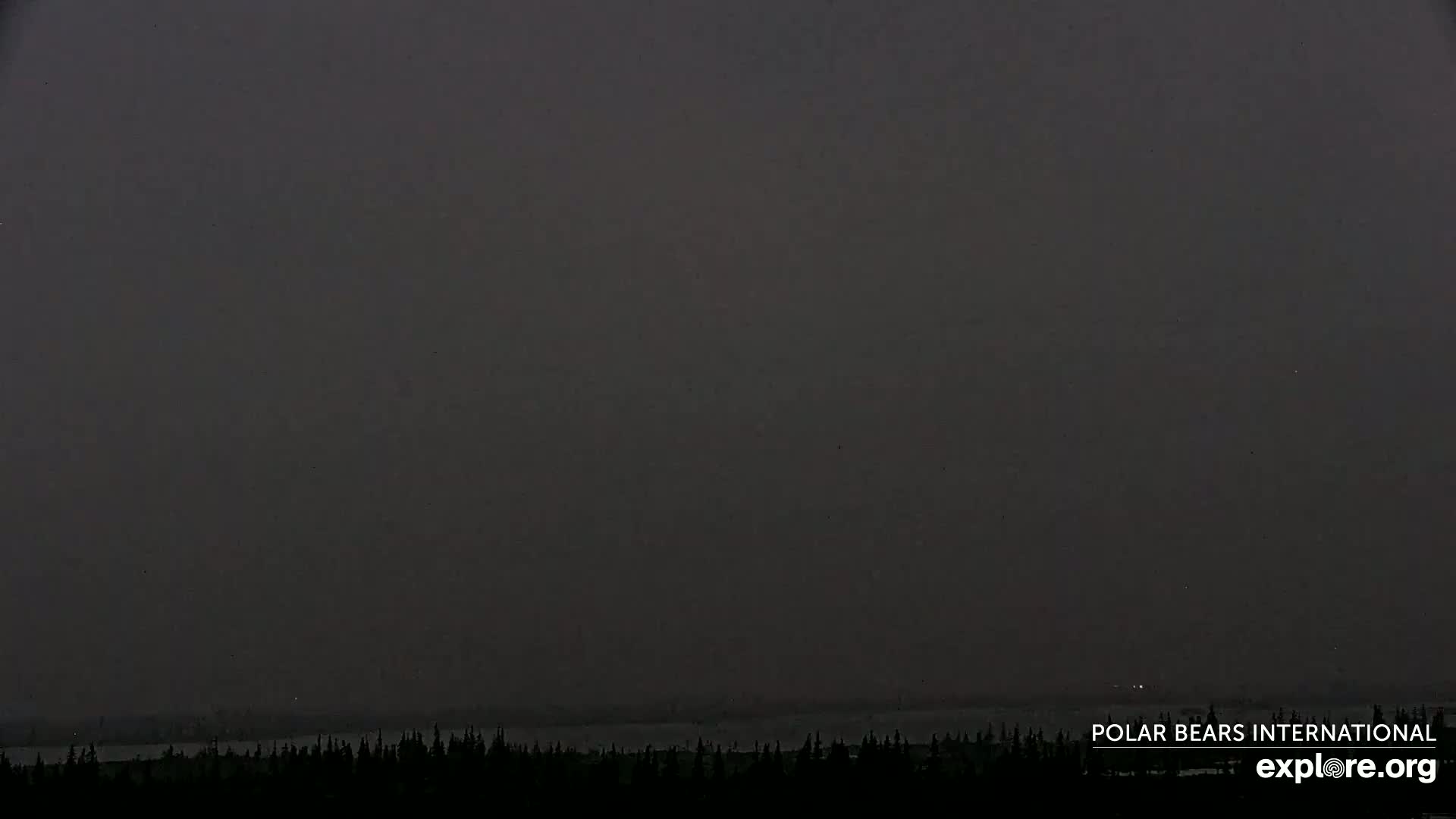 Churchill Marine Observatory, Northern Lights / Aurora Borealis / Stars View Live Cam - Churchill, Division No. 23, Northern Manitoba, Manitoba, Canada 