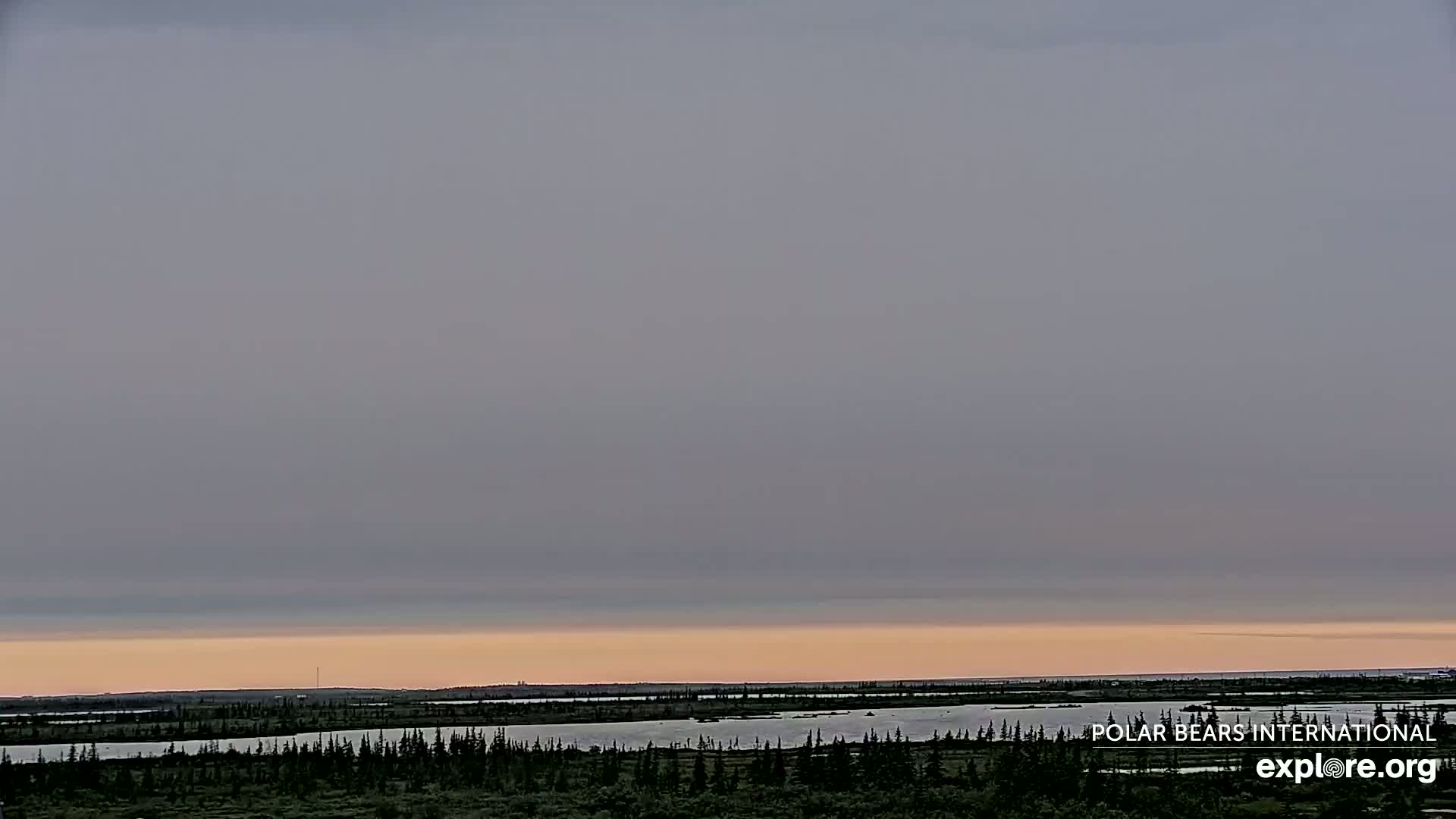 Churchill Marine Observatory, Northern Lights / Aurora Borealis / Stars View Live Cam - Churchill, Division No. 23, Northern Manitoba, Manitoba, Canada 