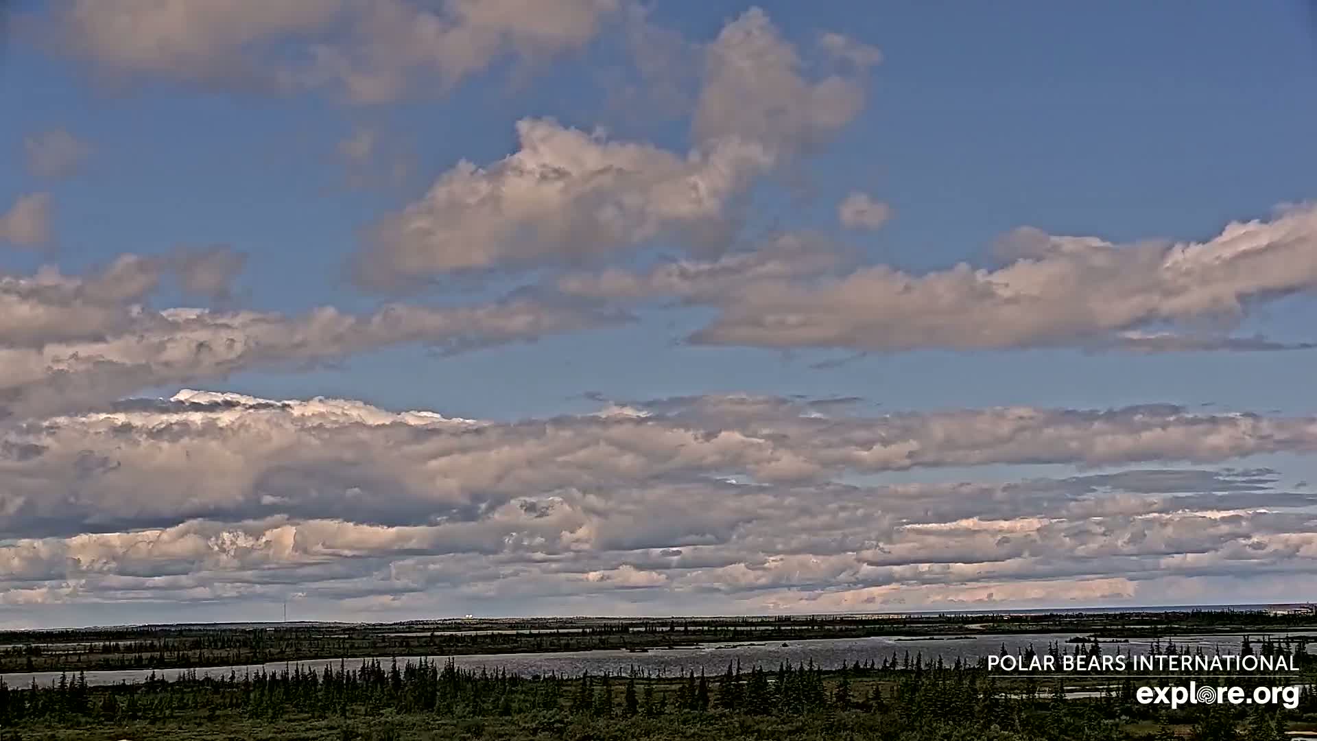 Churchill Marine Observatory, Northern Lights / Aurora Borealis / Stars View Live Cam - Churchill, Division No. 23, Northern Manitoba, Manitoba, Canada 