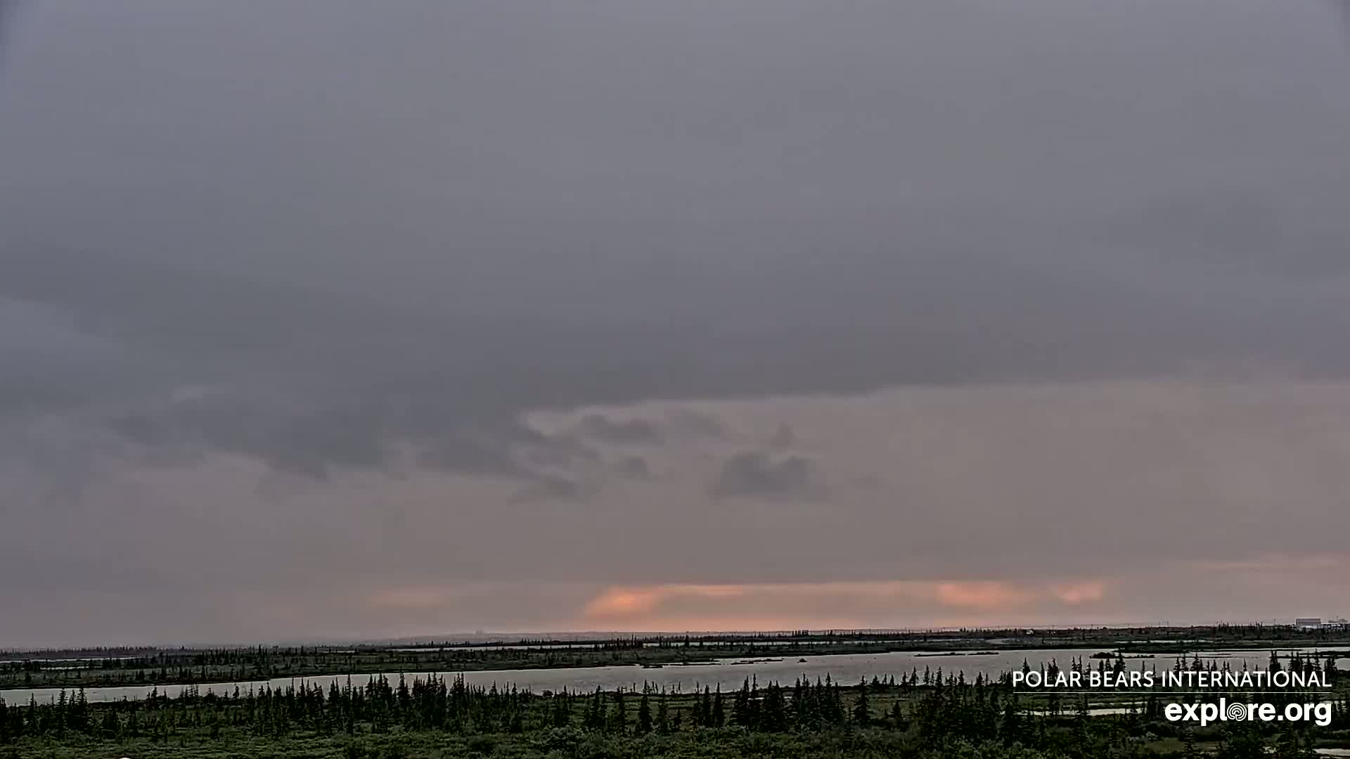 Churchill Marine Observatory, Northern Lights / Aurora Borealis / Stars View Live Cam - Churchill, Division No. 23, Northern Manitoba, Manitoba, Canada 