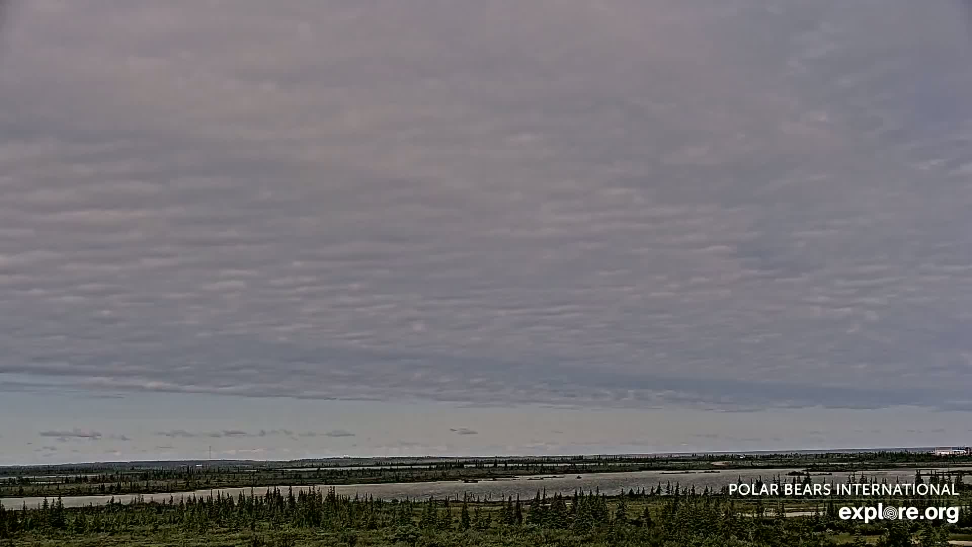 Churchill Marine Observatory, Northern Lights / Aurora Borealis / Stars View Live Cam - Churchill, Division No. 23, Northern Manitoba, Manitoba, Canada 