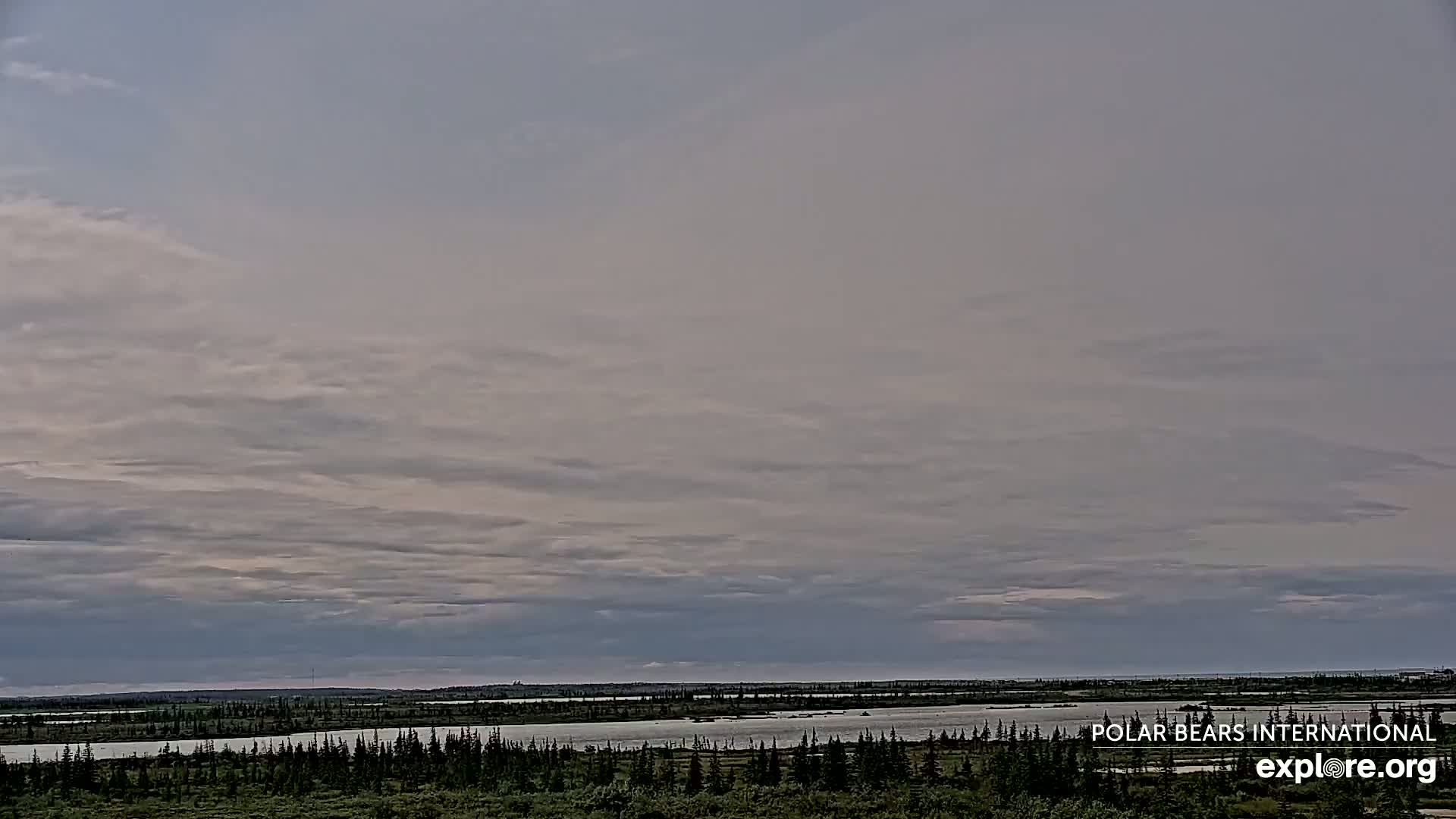 Churchill Marine Observatory, Northern Lights / Aurora Borealis / Stars View Live Cam - Churchill, Division No. 23, Northern Manitoba, Manitoba, Canada 