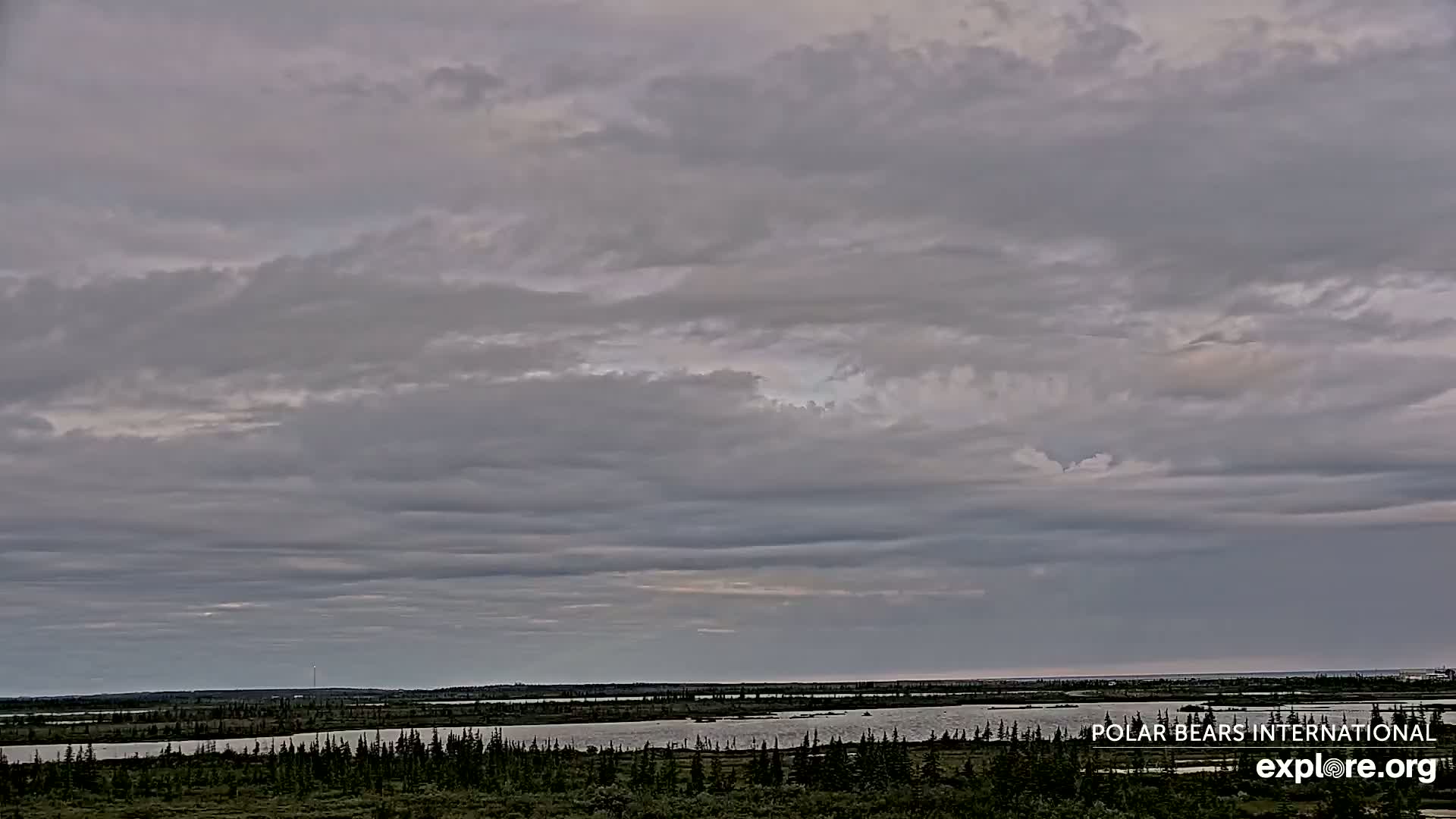 Churchill Marine Observatory, Northern Lights / Aurora Borealis / Stars View Live Cam - Churchill, Division No. 23, Northern Manitoba, Manitoba, Canada 