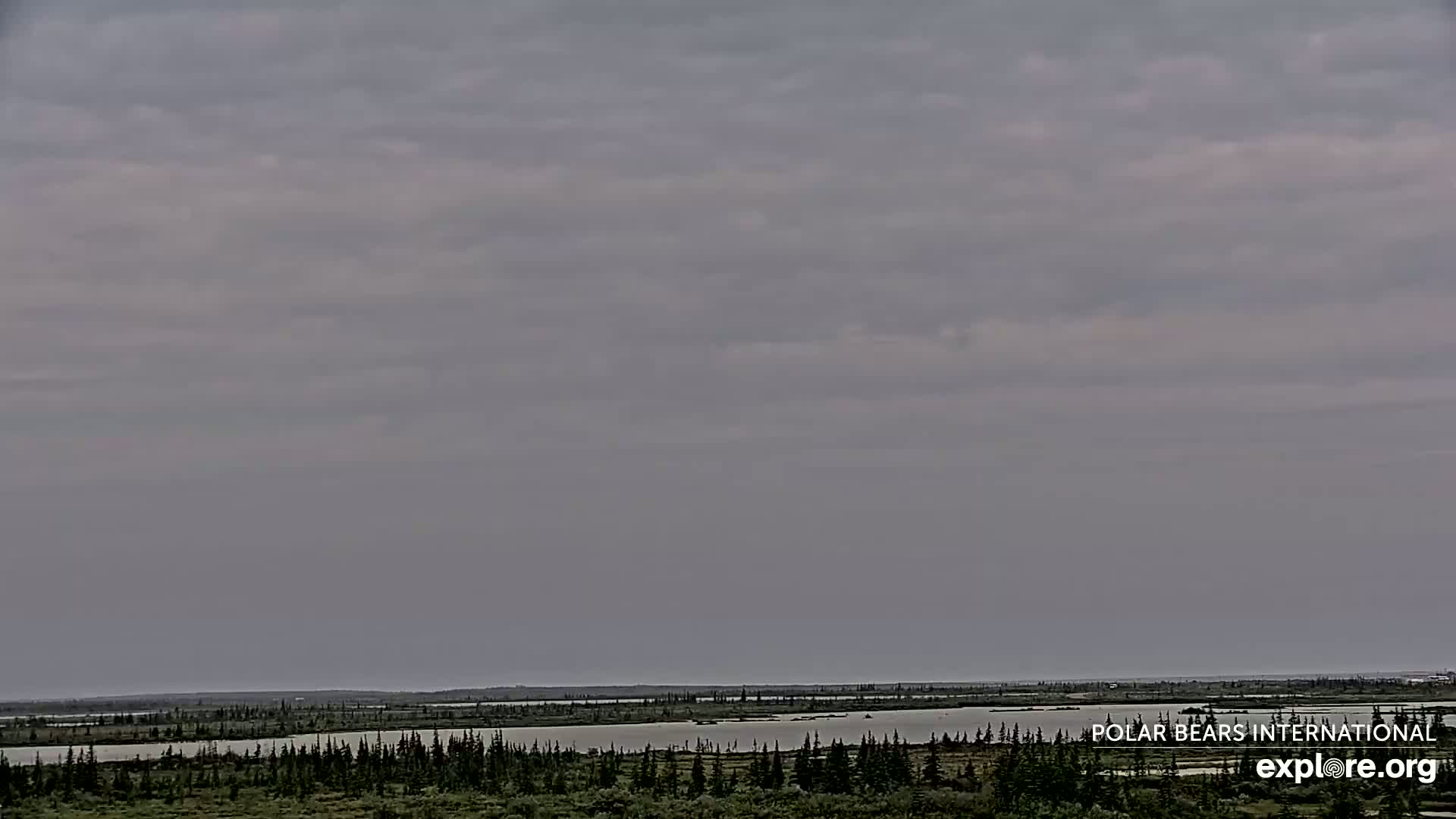 Churchill Marine Observatory, Northern Lights / Aurora Borealis / Stars View Live Cam - Churchill, Division No. 23, Northern Manitoba, Manitoba, Canada 