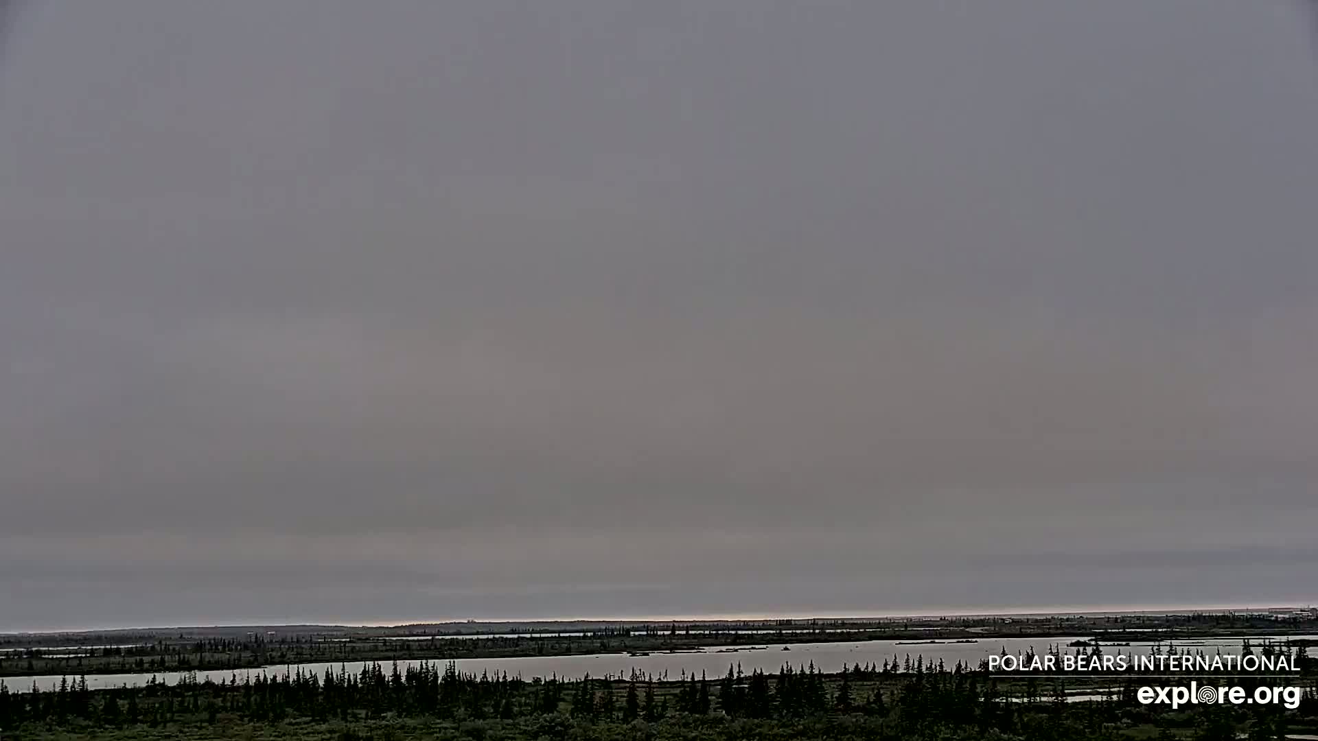 Churchill Marine Observatory, Northern Lights / Aurora Borealis / Stars View Live Cam - Churchill, Division No. 23, Northern Manitoba, Manitoba, Canada 