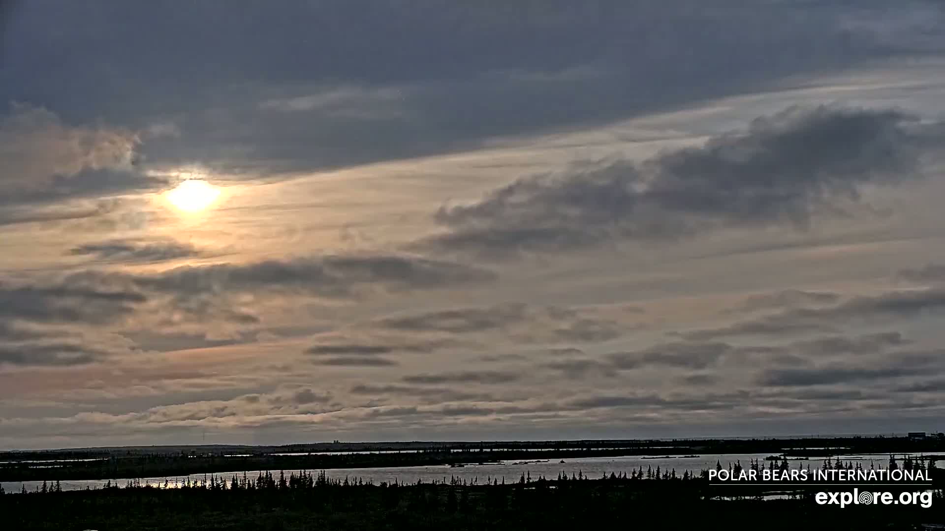 Churchill Marine Observatory, Northern Lights / Aurora Borealis / Stars View Live Cam - Churchill, Division No. 23, Northern Manitoba, Manitoba, Canada 