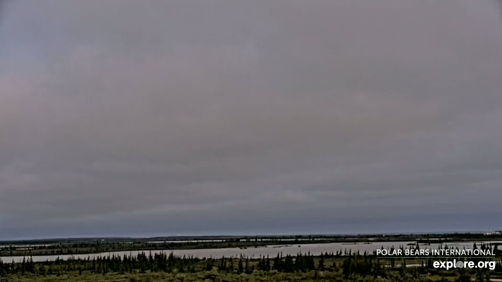 Churchill Marine Observatory, Northern Lights / Aurora Borealis / Stars View Live Cam - Churchill, Division No. 23, Northern Manitoba, Manitoba, Canada 