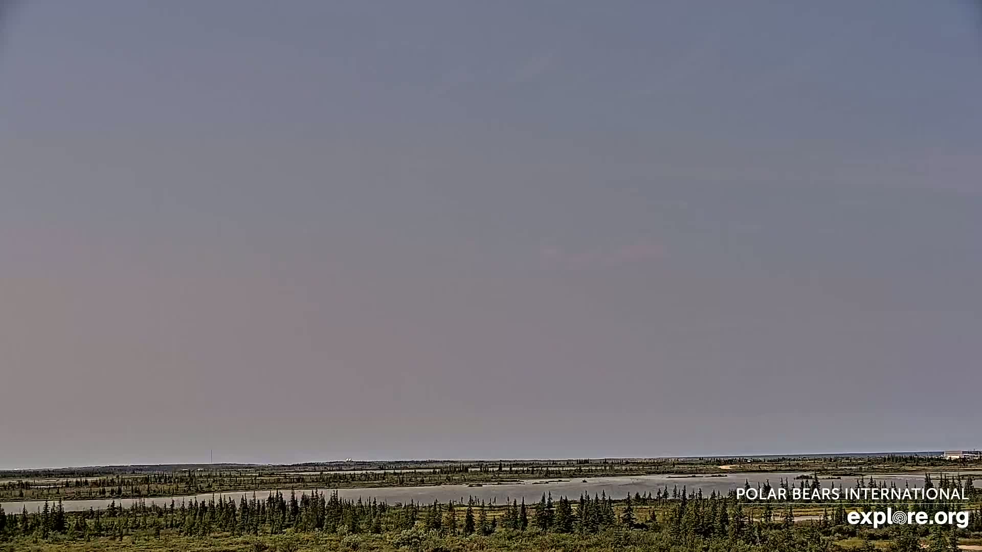 Churchill Marine Observatory, Northern Lights / Aurora Borealis / Stars View Live Cam - Churchill, Division No. 23, Northern Manitoba, Manitoba, Canada 