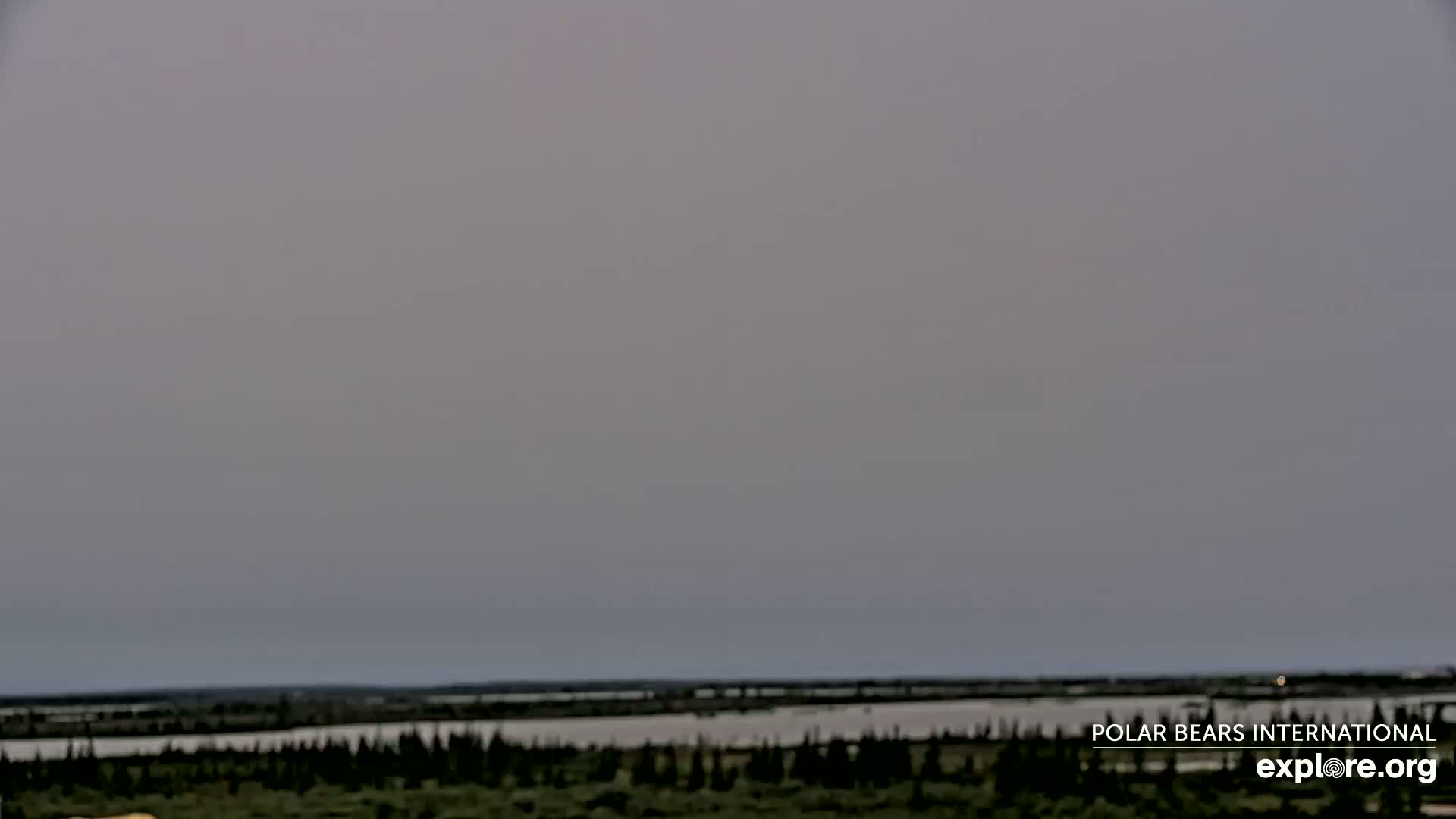 Churchill Marine Observatory, Northern Lights / Aurora Borealis / Stars View Live Cam - Churchill, Division No. 23, Northern Manitoba, Manitoba, Canada 