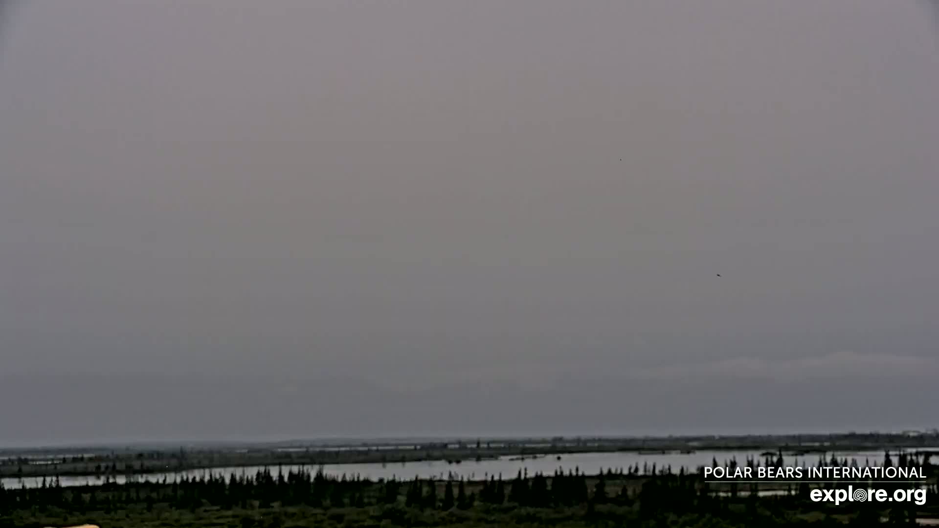 Churchill Marine Observatory, Northern Lights / Aurora Borealis / Stars View Live Cam - Churchill, Division No. 23, Northern Manitoba, Manitoba, Canada 