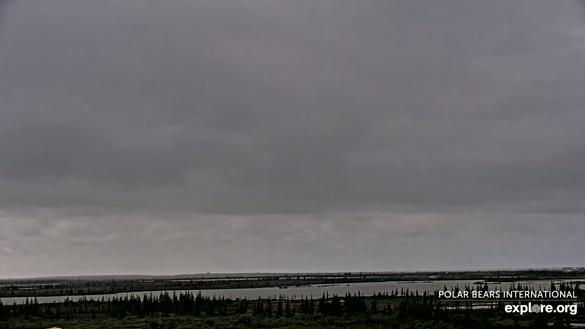 Churchill Marine Observatory, Northern Lights / Aurora Borealis / Stars View Live Cam - Churchill, Division No. 23, Northern Manitoba, Manitoba, Canada 