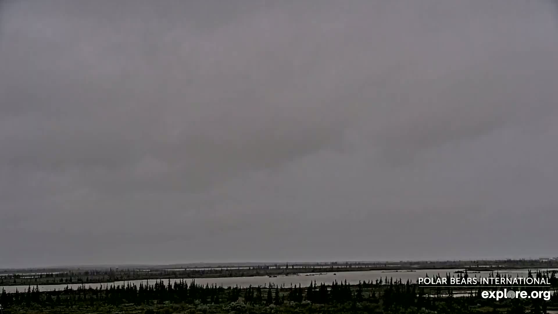 Churchill Marine Observatory, Northern Lights / Aurora Borealis / Stars View Live Cam - Churchill, Division No. 23, Northern Manitoba, Manitoba, Canada 