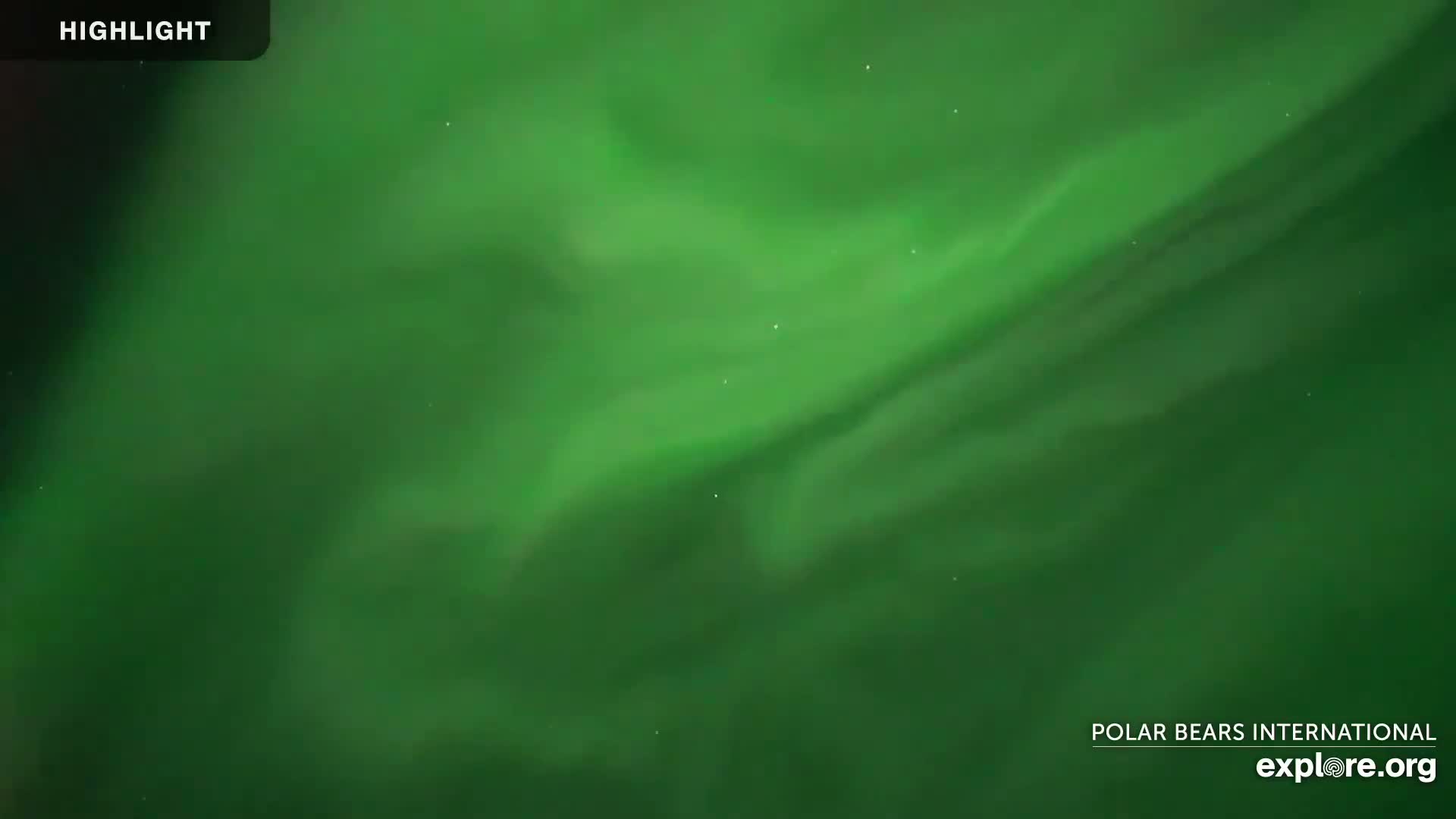Churchill Marine Observatory, Northern Lights / Aurora Borealis / Stars View Live Cam - Churchill, Division No. 23, Northern Manitoba, Manitoba, Canada 