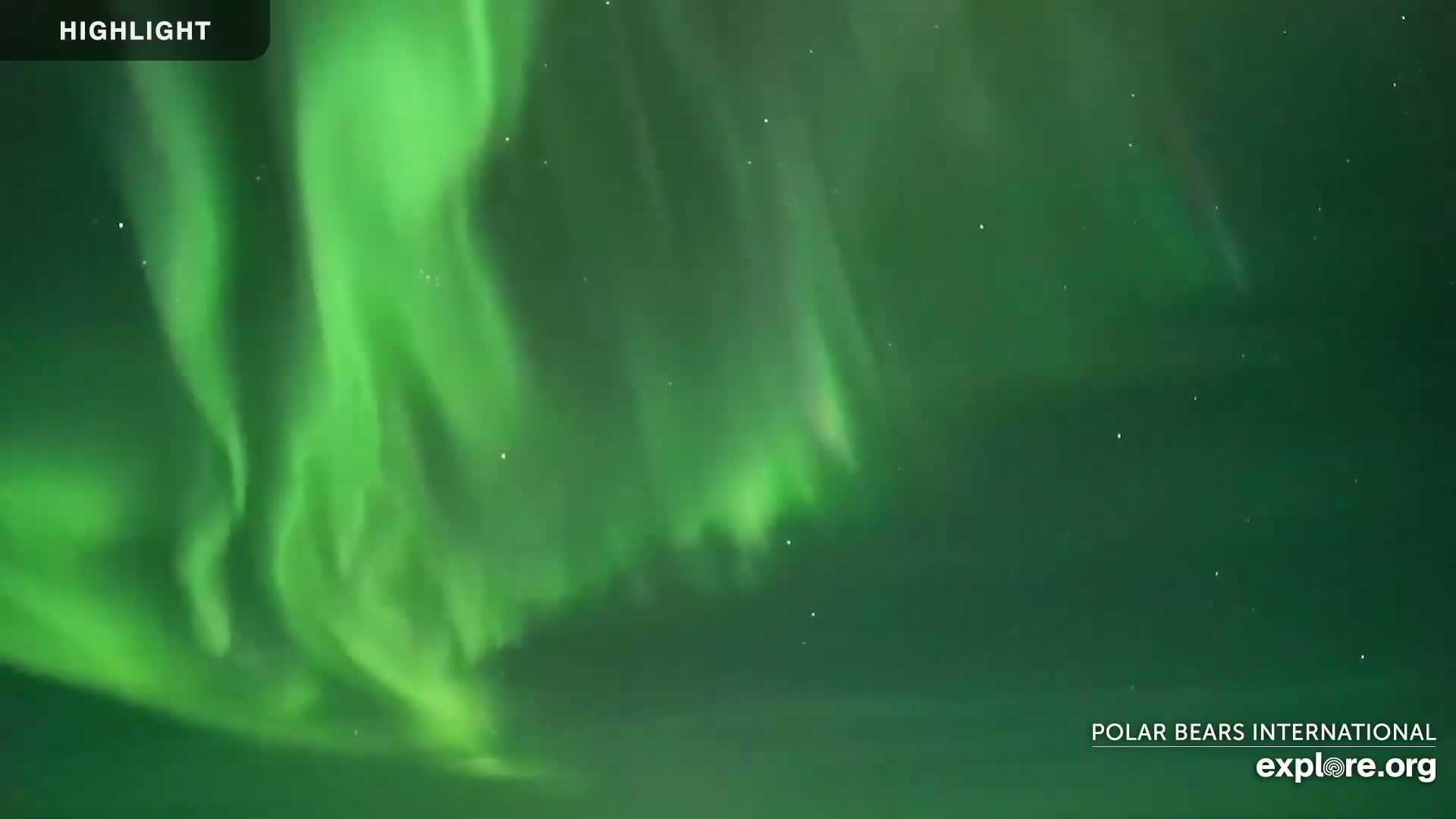 Churchill Marine Observatory, Northern Lights / Aurora Borealis / Stars View Live Cam - Churchill, Division No. 23, Northern Manitoba, Manitoba, Canada 