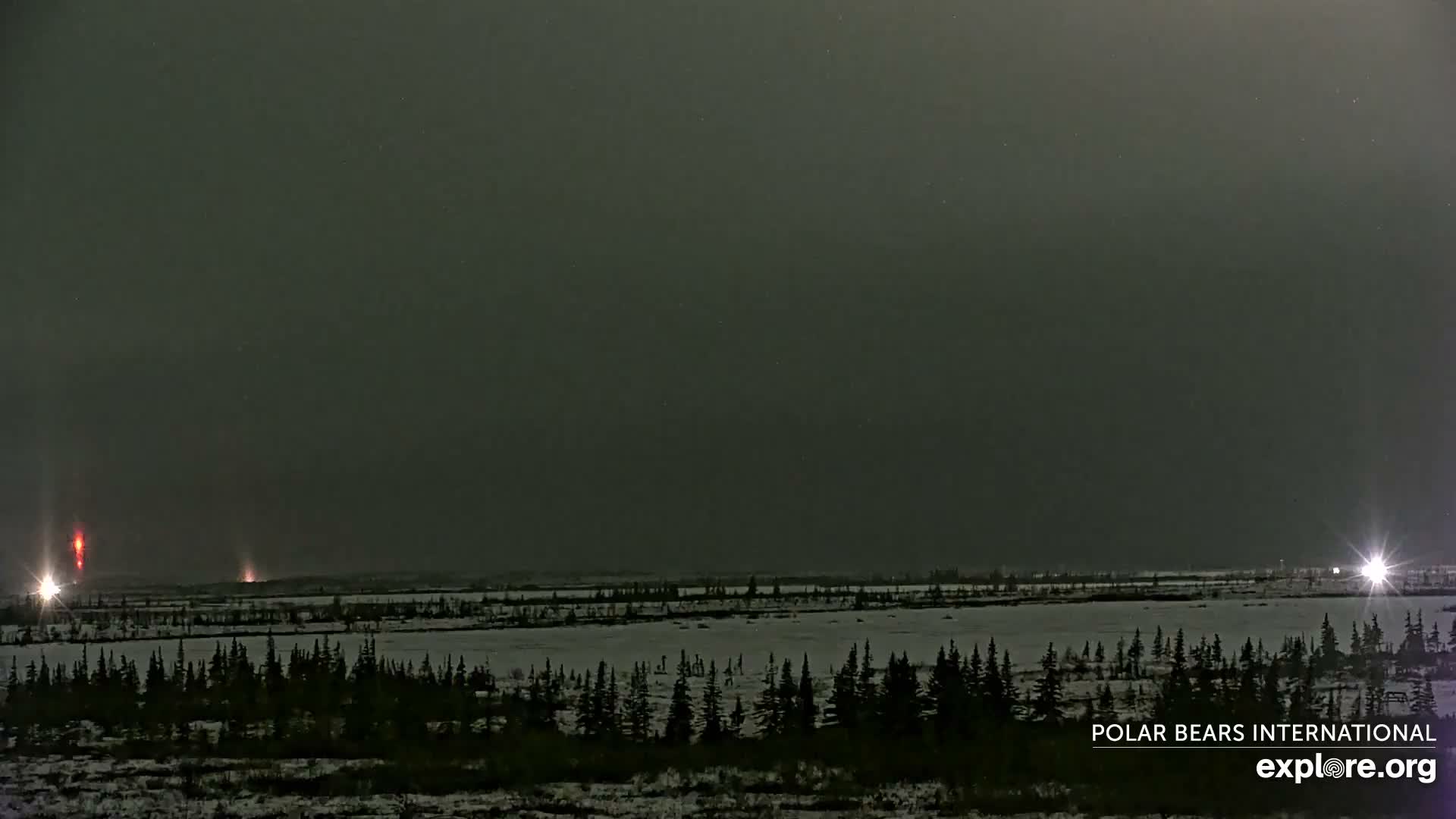 Churchill Marine Observatory, Northern Lights / Aurora Borealis / Stars View Live Cam - Churchill, Division No. 23, Northern Manitoba, Manitoba, Canada 