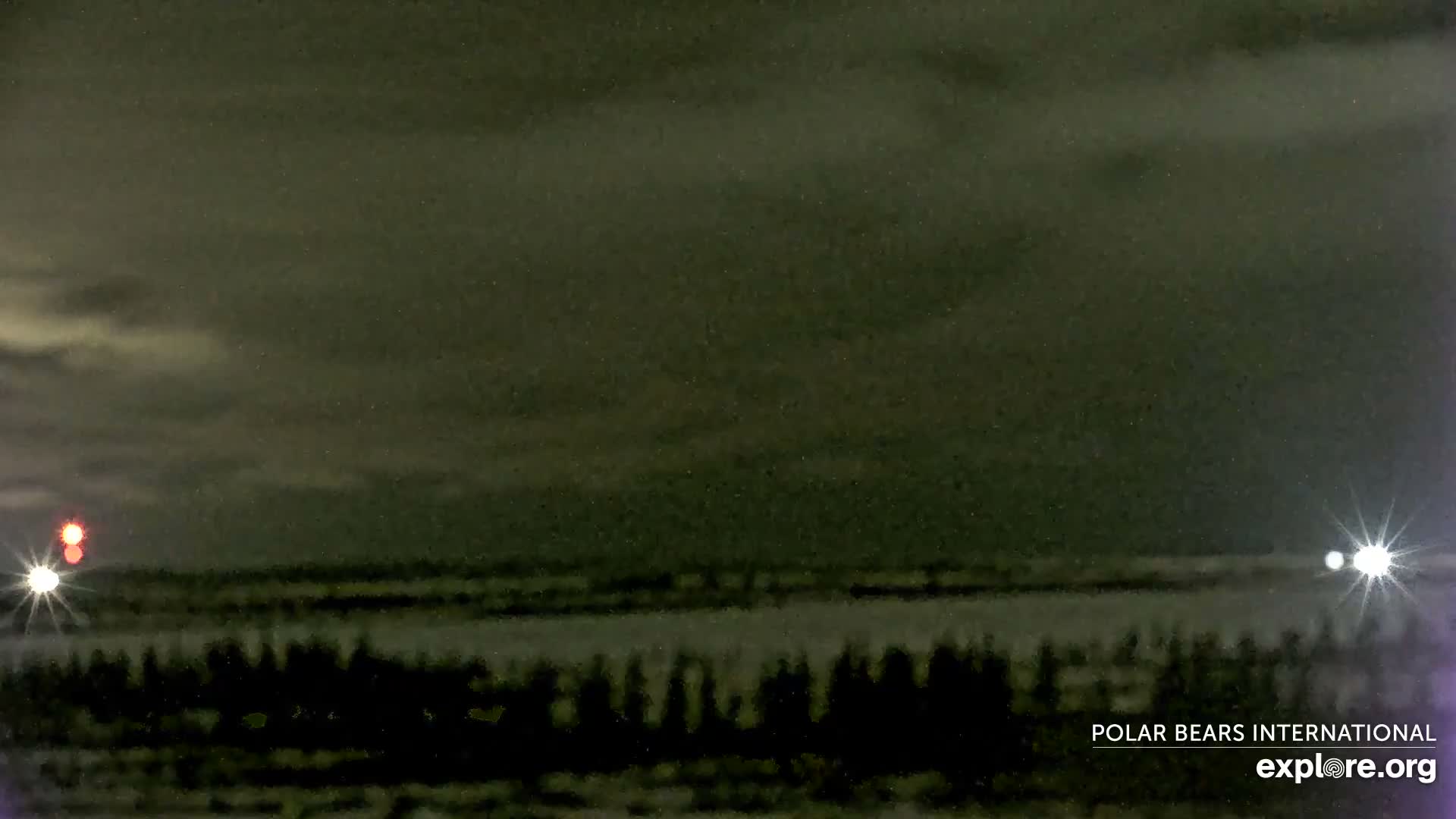 Churchill Marine Observatory, Northern Lights / Aurora Borealis / Stars View Live Cam - Churchill, Division No. 23, Northern Manitoba, Manitoba, Canada 