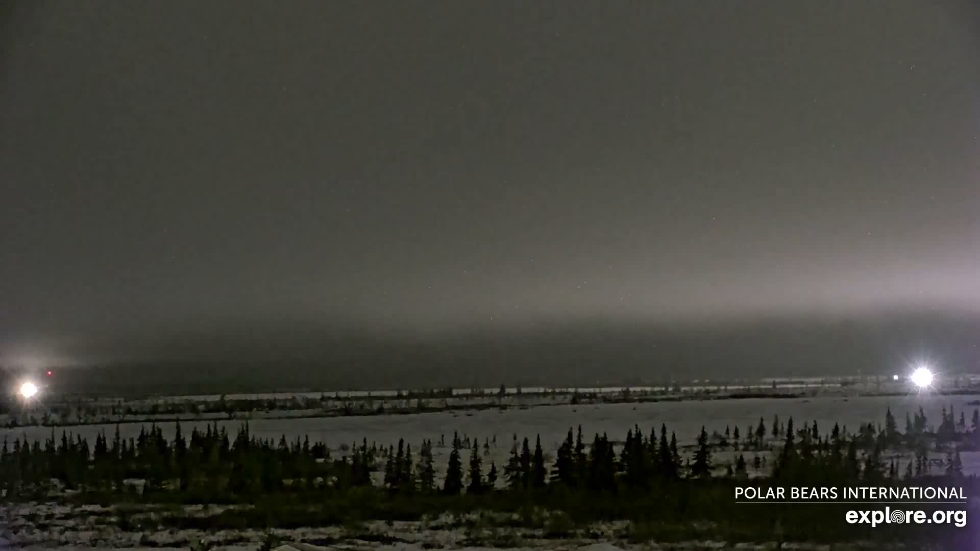 Churchill Marine Observatory, Northern Lights / Aurora Borealis / Stars View Live Cam - Churchill, Division No. 23, Northern Manitoba, Manitoba, Canada 