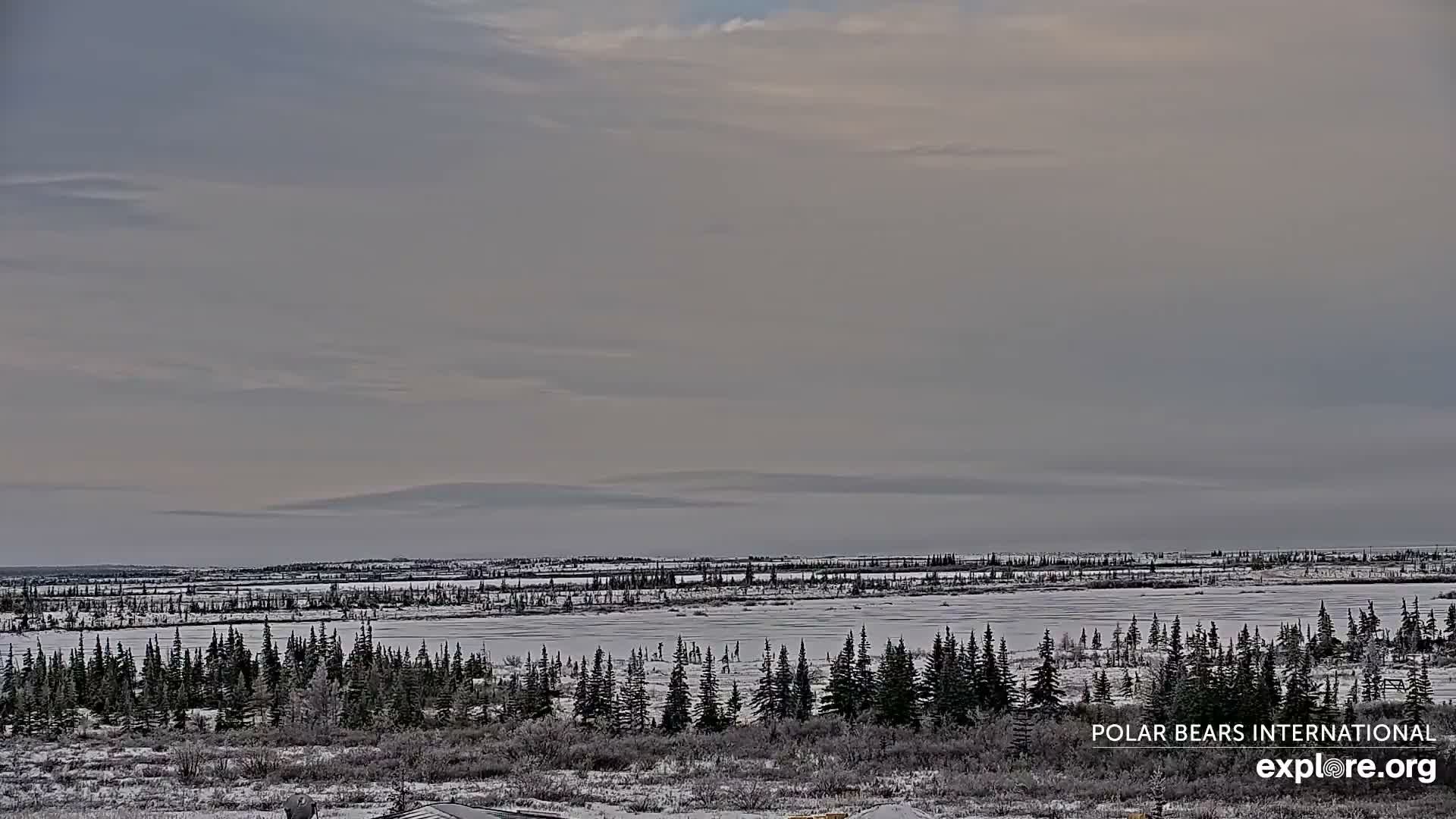A nighttime sky shows a faint aurora borealis among numerous stars.