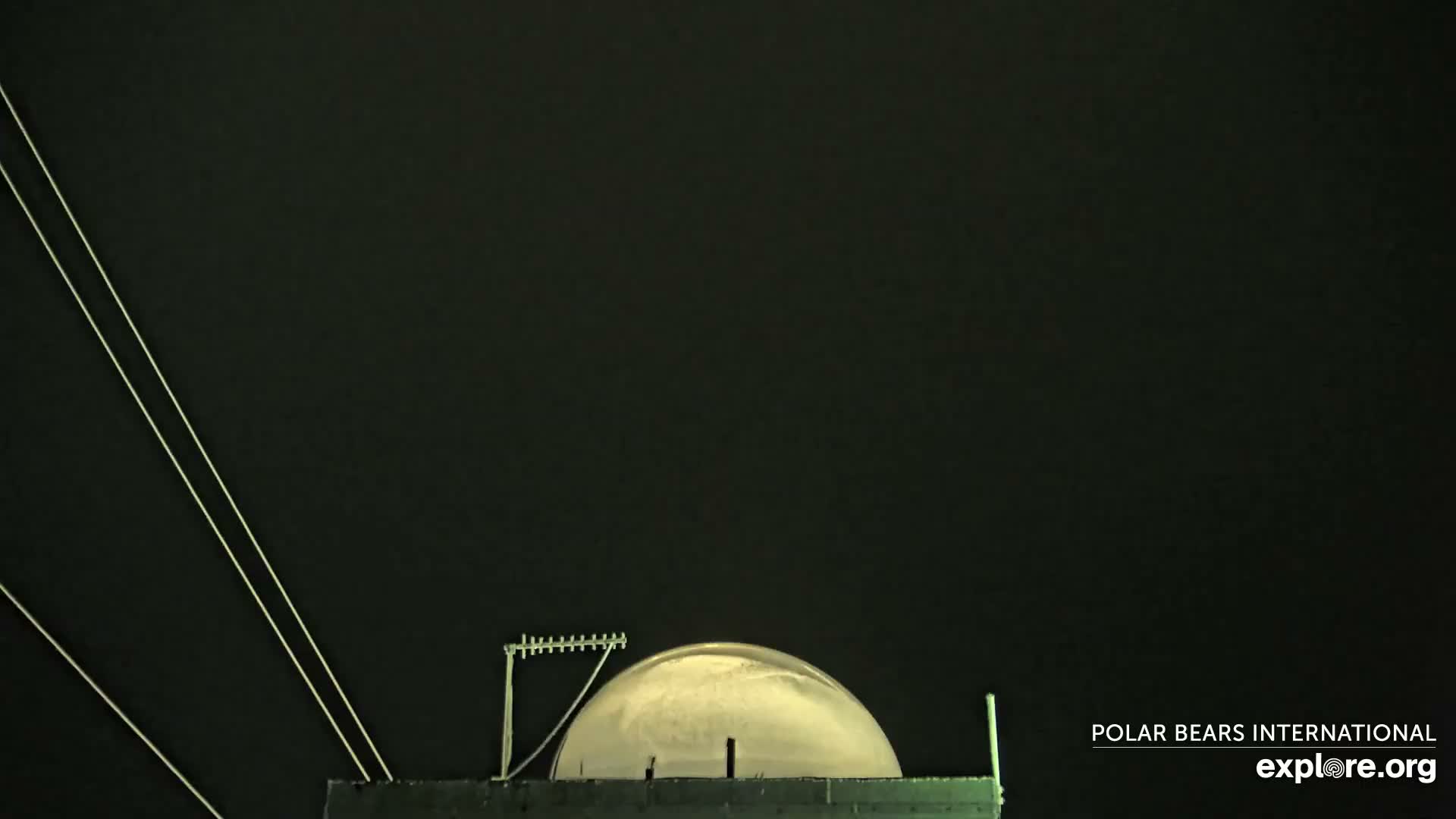 Churchill Marine Observatory, Northern Lights / Aurora Borealis / Stars View Live Cam - Churchill, Division No. 23, Northern Manitoba, Manitoba, Canada 