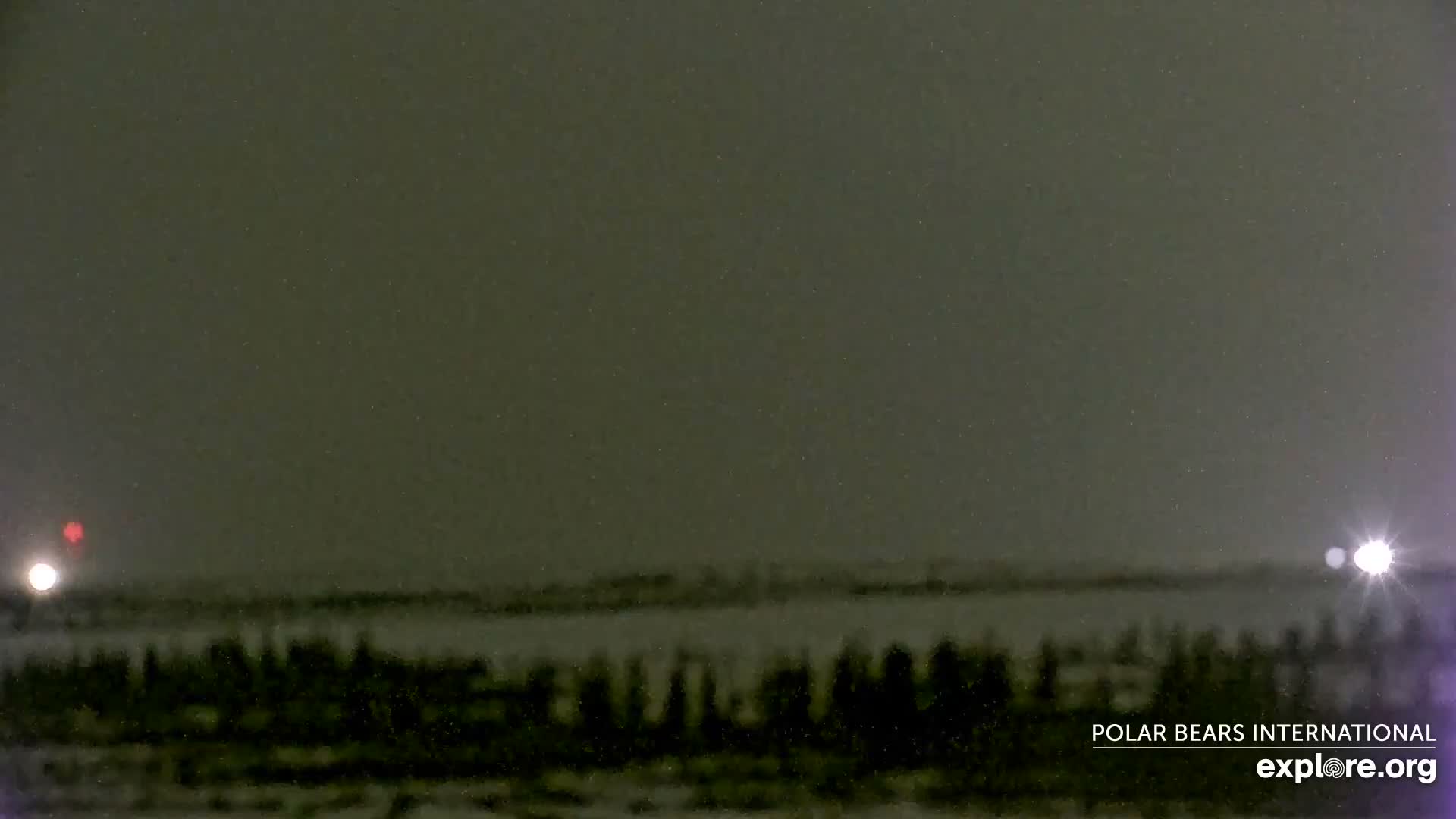 Churchill Marine Observatory, Northern Lights / Aurora Borealis / Stars View Live Cam - Churchill, Division No. 23, Northern Manitoba, Manitoba, Canada 