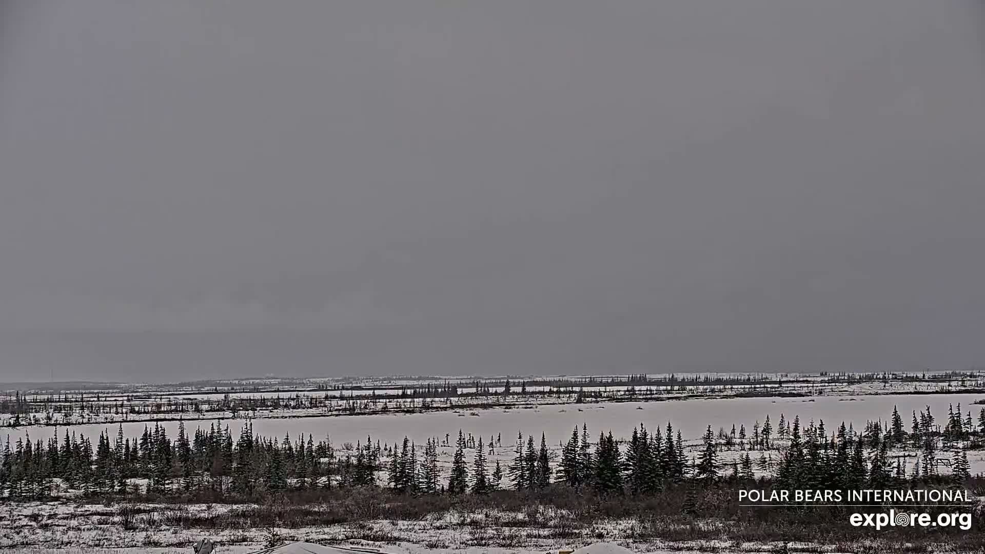 Churchill Marine Observatory, Northern Lights / Aurora Borealis / Stars View Live Cam - Churchill, Division No. 23, Northern Manitoba, Manitoba, Canada 