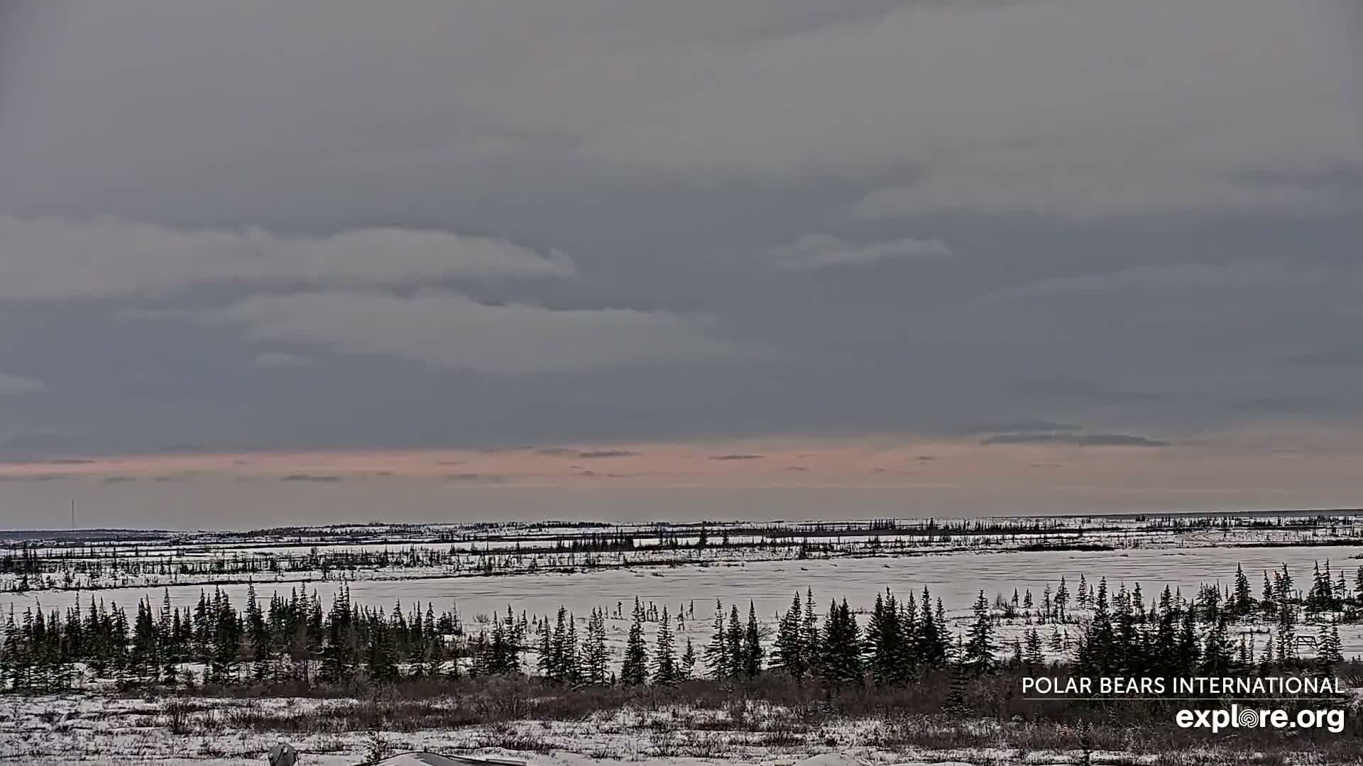 Churchill Marine Observatory, Northern Lights / Aurora Borealis / Stars View Live Cam - Churchill, Division No. 23, Northern Manitoba, Manitoba, Canada 