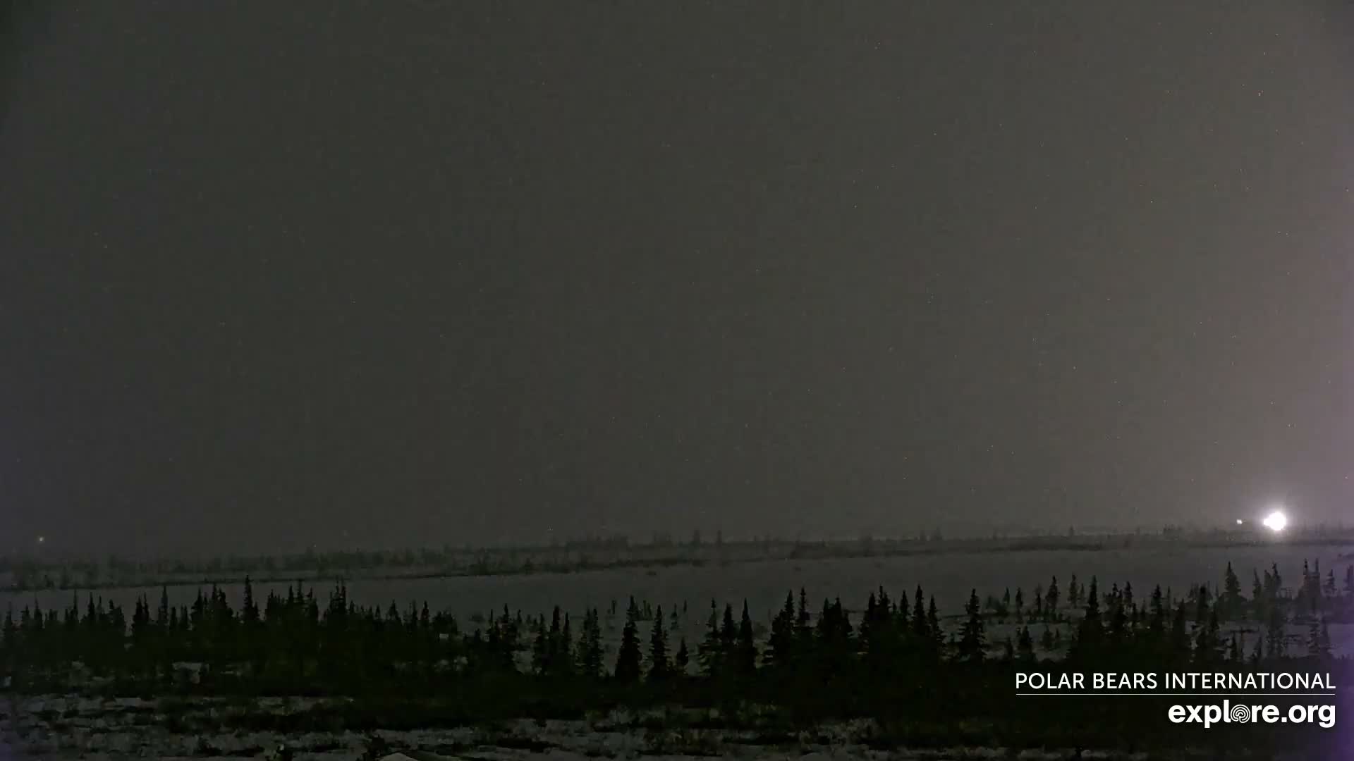 Churchill Marine Observatory, Northern Lights / Aurora Borealis / Stars View Live Cam - Churchill, Division No. 23, Northern Manitoba, Manitoba, Canada 