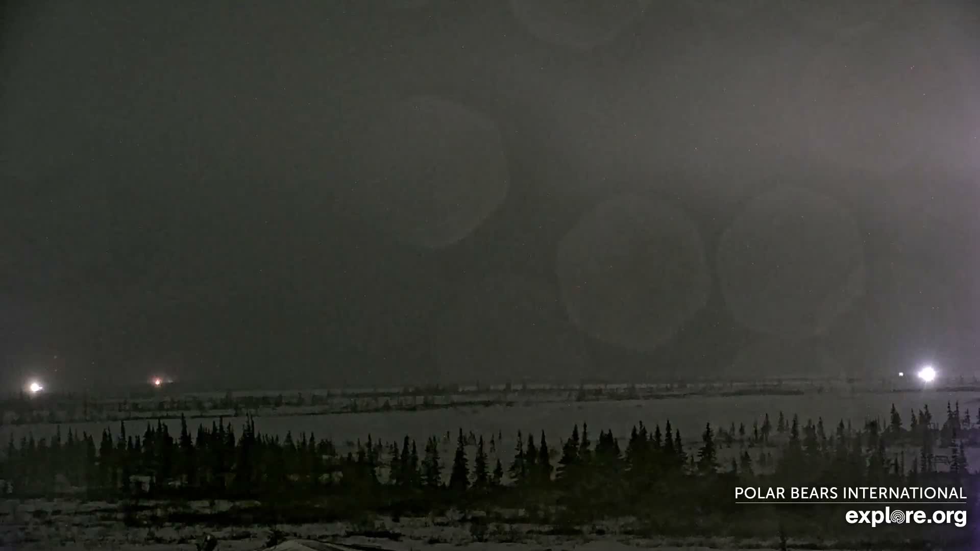 Churchill Marine Observatory, Northern Lights / Aurora Borealis / Stars View Live Cam - Churchill, Division No. 23, Northern Manitoba, Manitoba, Canada 