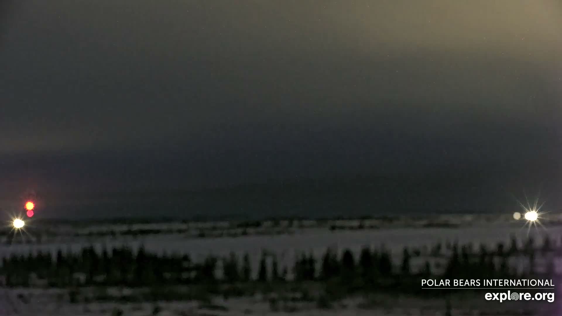 Churchill Marine Observatory, Northern Lights / Aurora Borealis / Stars View Live Cam - Churchill, Division No. 23, Northern Manitoba, Manitoba, Canada 