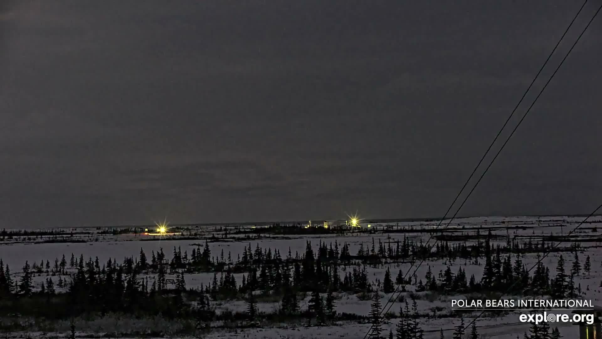 Churchill Marine Observatory, Northern Lights / Aurora Borealis / Stars View Live Cam - Churchill, Division No. 23, Northern Manitoba, Manitoba, Canada 