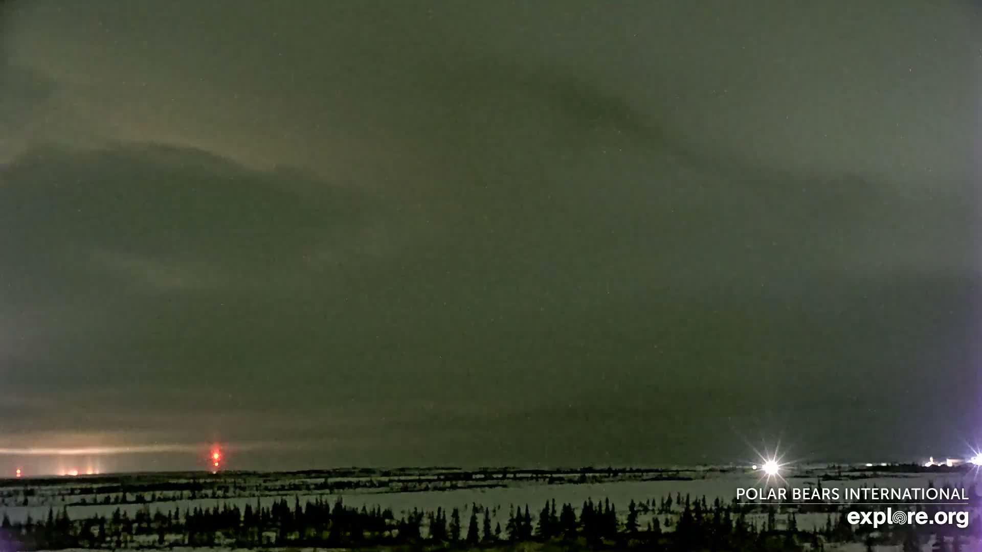 A vast, snow-covered landscape with dark evergreen trees stretches under a partially cloudy night sky vibrant with a green aurora borealis, punctuated by distant artificial lights including a red beacon and some exhibiting light pillars.