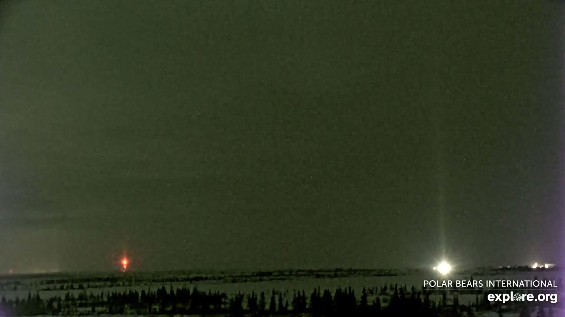 Churchill Marine Observatory, Northern Lights / Aurora Borealis / Stars View Live Cam - Churchill, Division No. 23, Northern Manitoba, Manitoba, Canada 