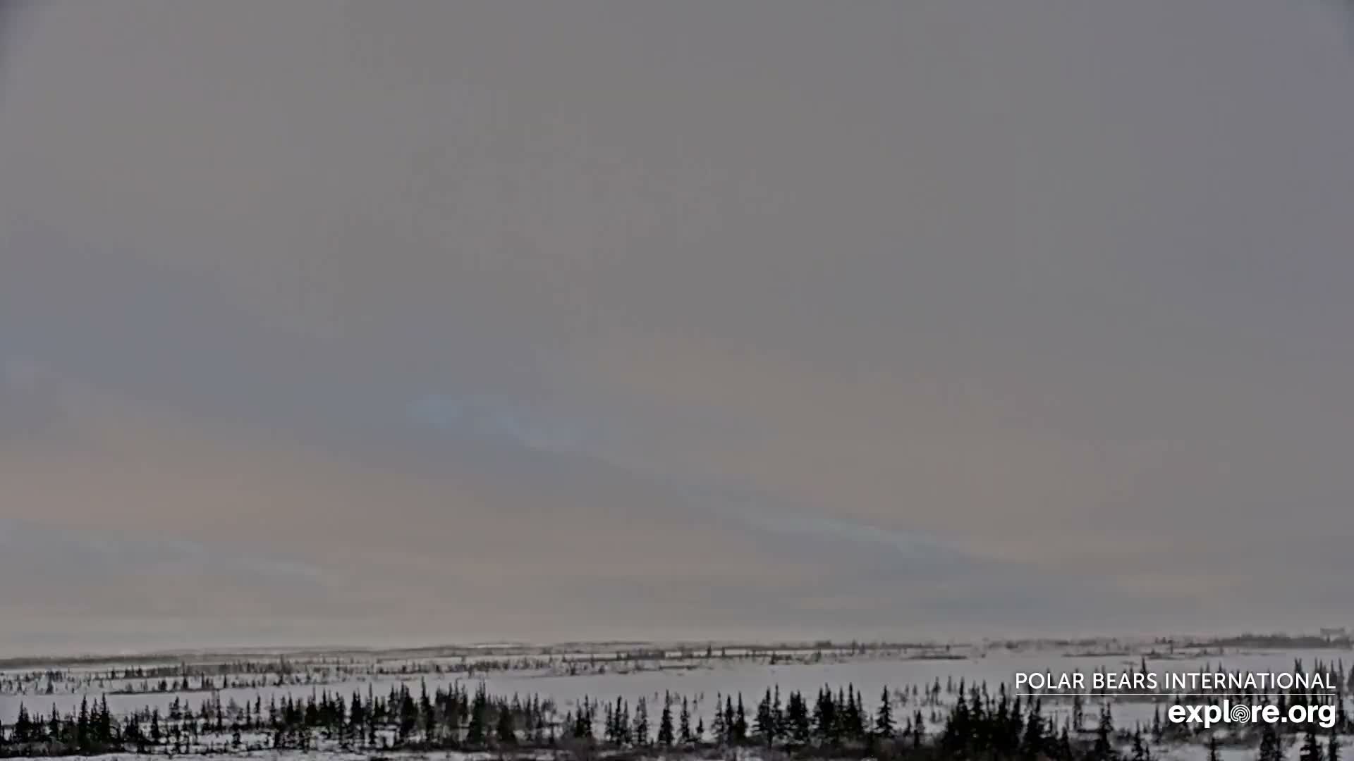 Churchill Marine Observatory, Northern Lights / Aurora Borealis / Stars View Live Cam - Churchill, Division No. 23, Northern Manitoba, Manitoba, Canada 