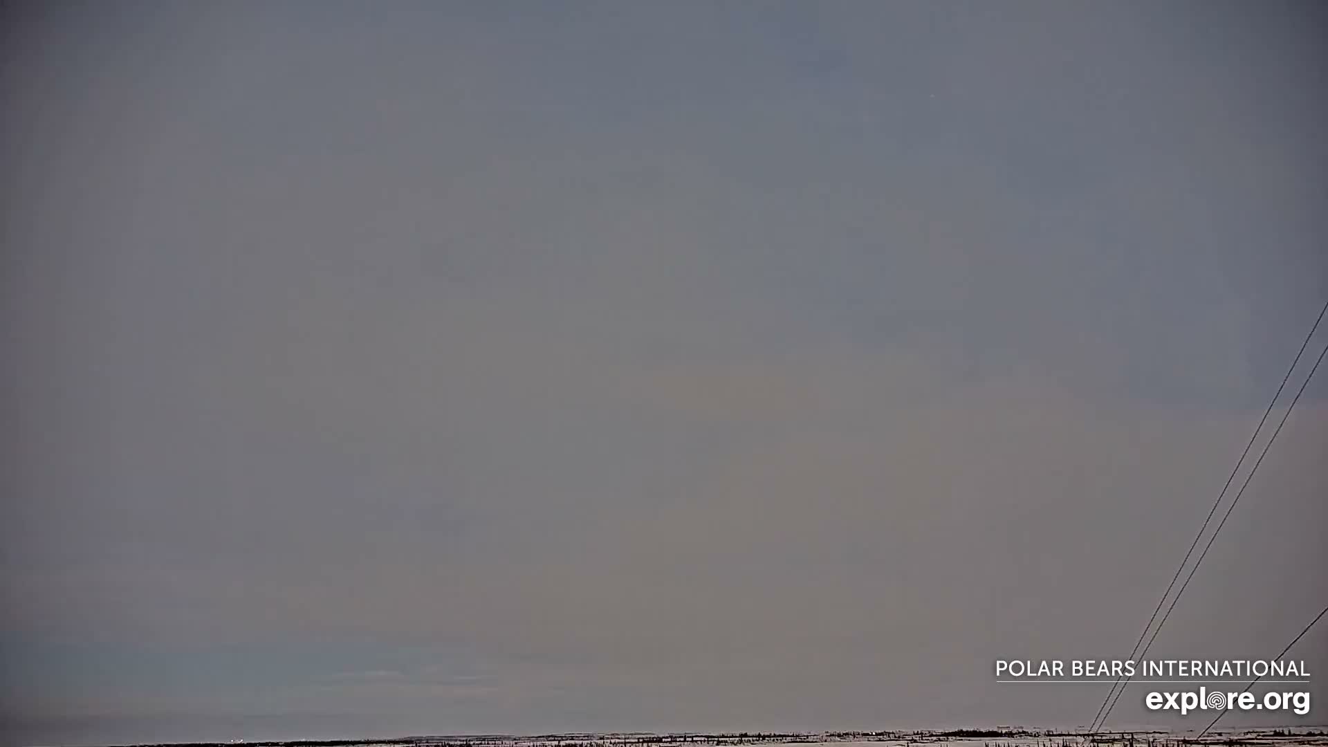 Churchill Marine Observatory, Northern Lights / Aurora Borealis / Stars View Live Cam - Churchill, Division No. 23, Northern Manitoba, Manitoba, Canada 