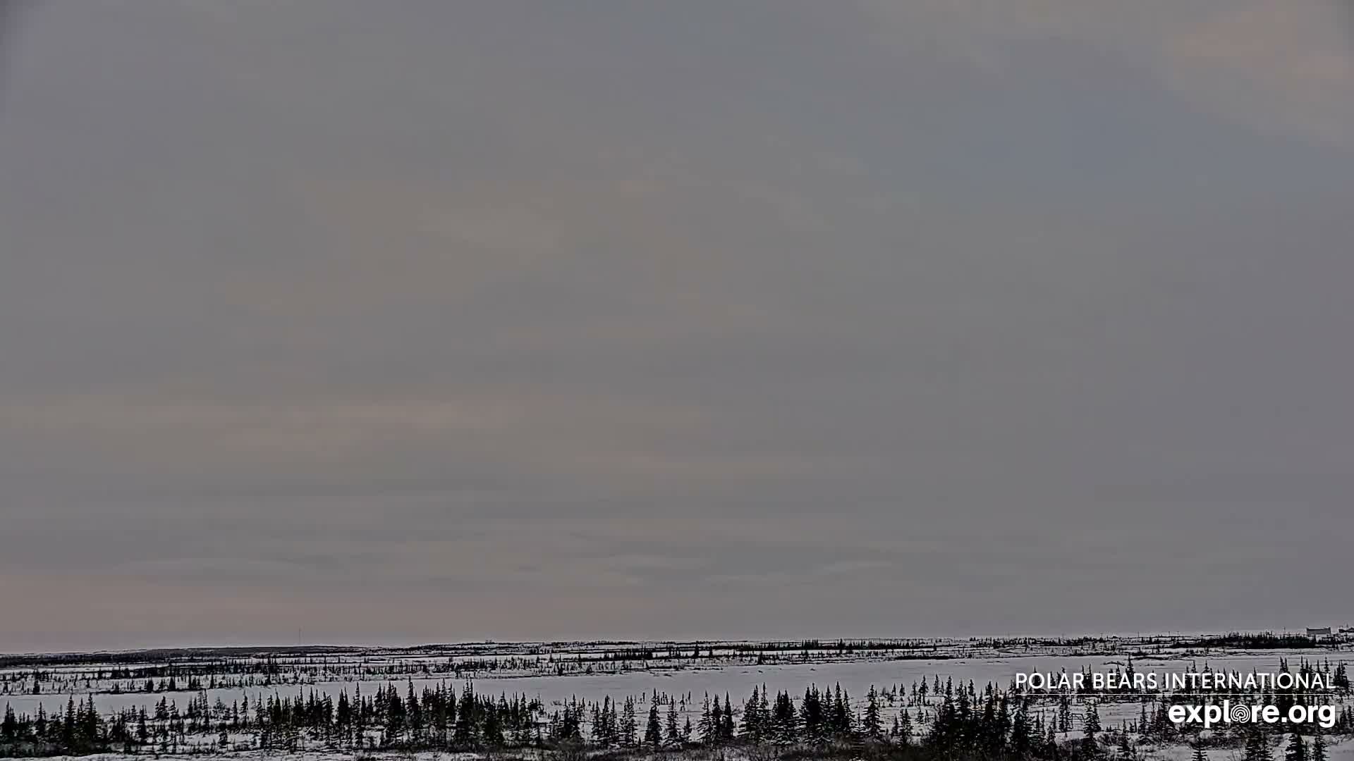 Churchill Marine Observatory, Northern Lights / Aurora Borealis / Stars View Live Cam - Churchill, Division No. 23, Northern Manitoba, Manitoba, Canada 