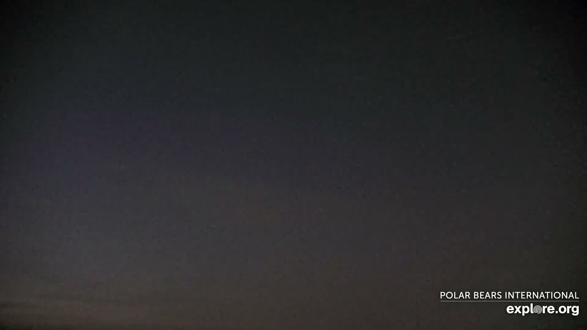 Churchill Marine Observatory, Northern Lights / Aurora Borealis / Stars View Live Cam - Churchill, Division No. 23, Northern Manitoba, Manitoba, Canada 