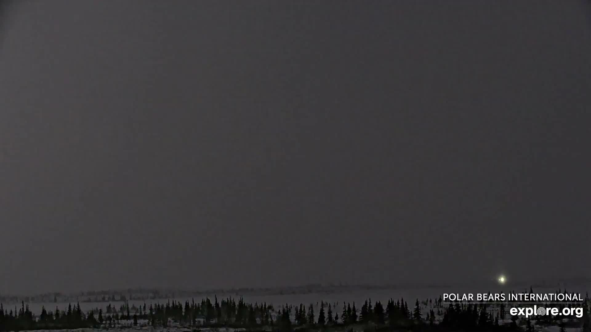 A dark, heavily overcast sky casts a dim light over a snow-covered landscape featuring a distant line of evergreen trees and a single prominent light source.