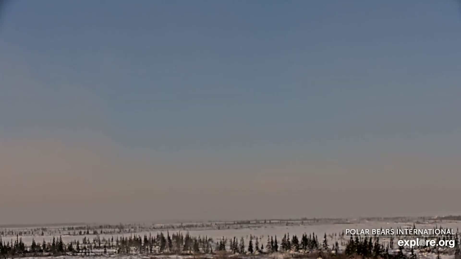 Churchill Marine Observatory, Northern Lights / Aurora Borealis / Stars View Live Cam - Churchill, Division No. 23, Northern Manitoba, Manitoba, Canada 