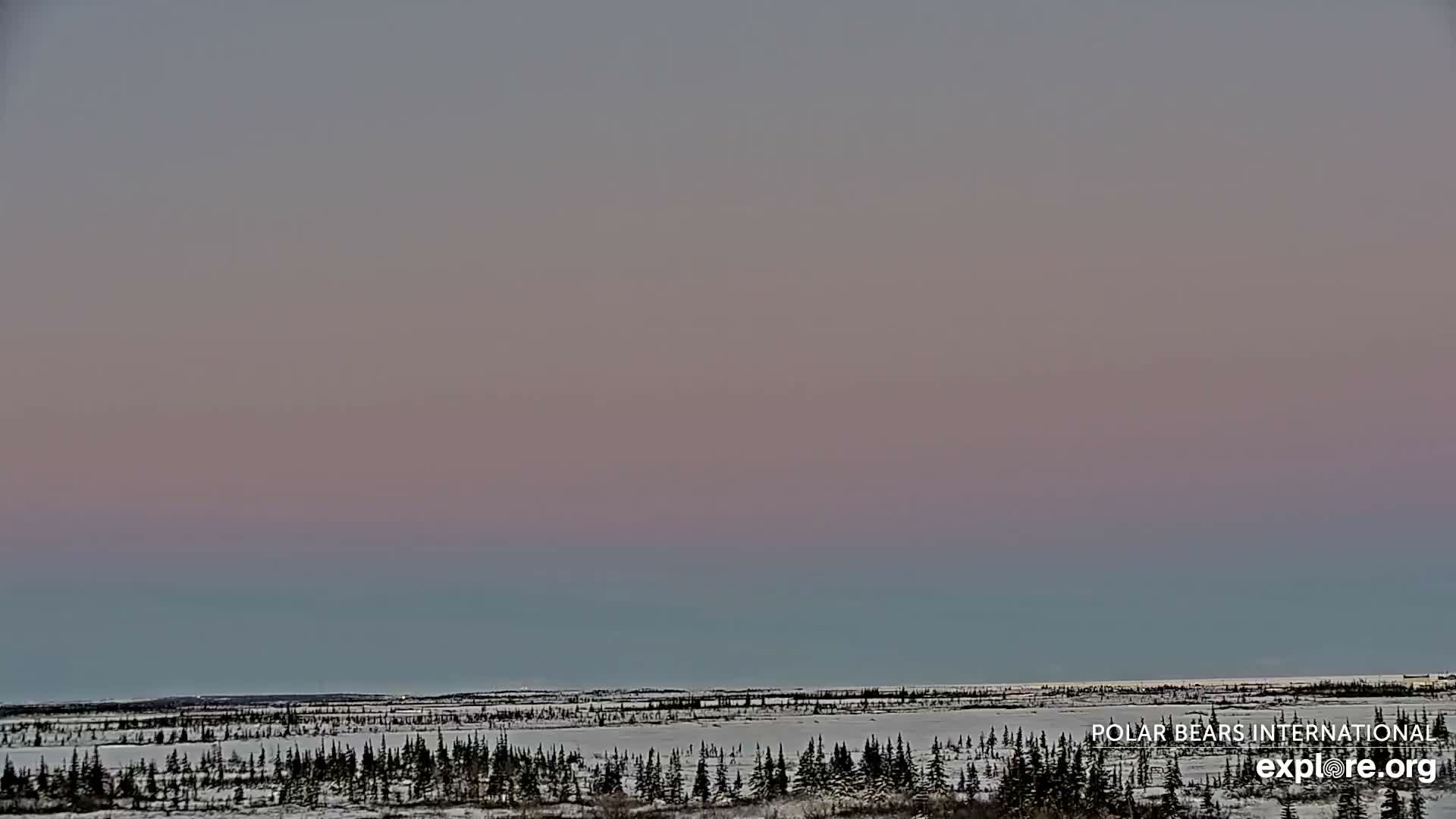 Churchill Marine Observatory, Northern Lights / Aurora Borealis / Stars View Live Cam - Churchill, Division No. 23, Northern Manitoba, Manitoba, Canada 