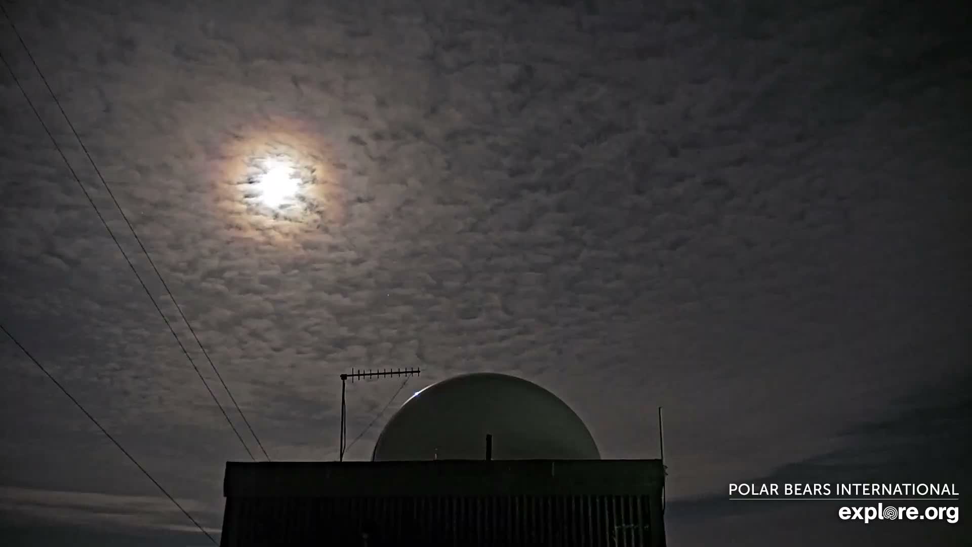 Churchill Marine Observatory, Northern Lights / Aurora Borealis / Stars View Live Cam - Churchill, Division No. 23, Northern Manitoba, Manitoba, Canada 