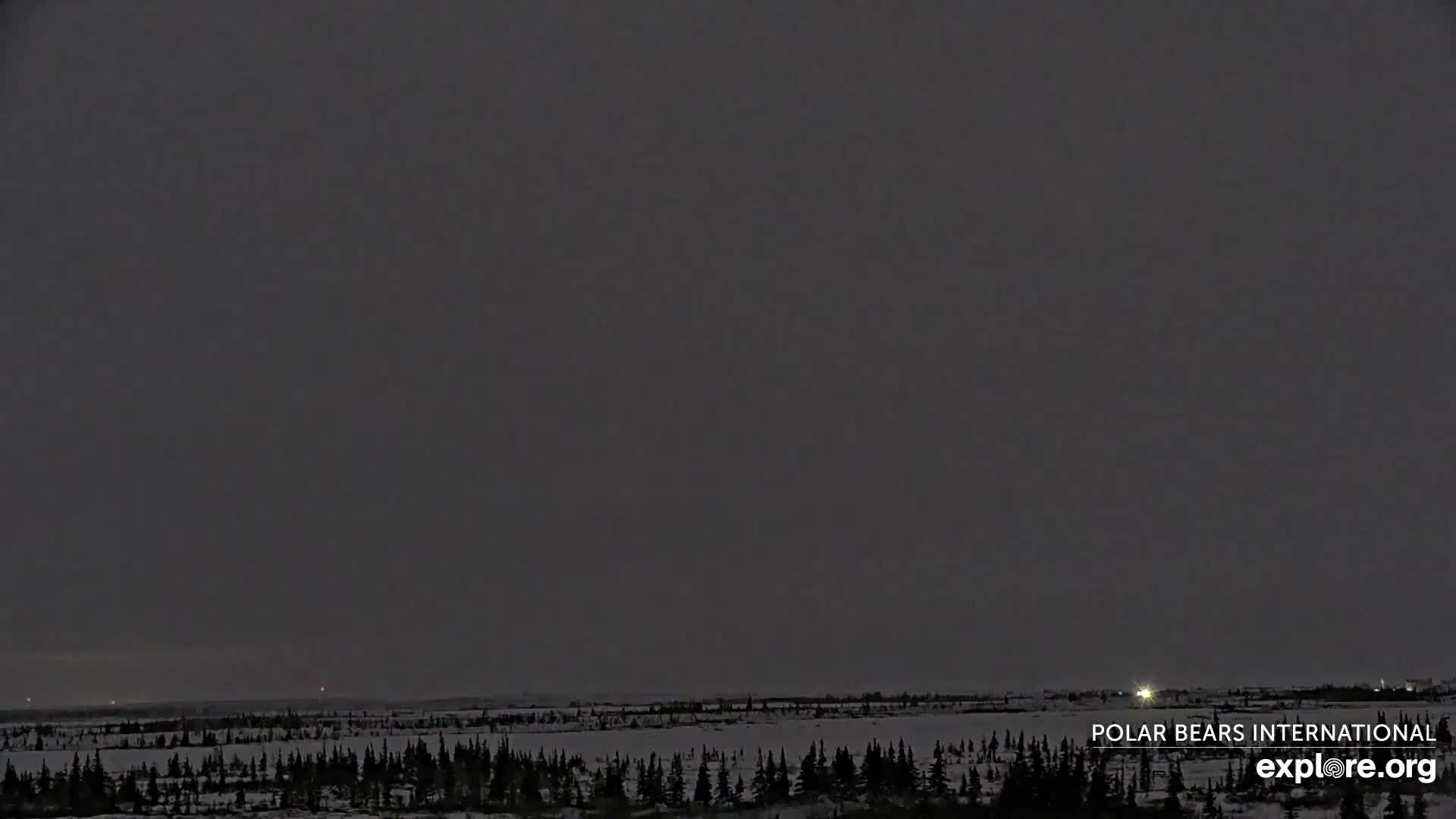 Churchill Marine Observatory, Northern Lights / Aurora Borealis / Stars View Live Cam - Churchill, Division No. 23, Northern Manitoba, Manitoba, Canada 