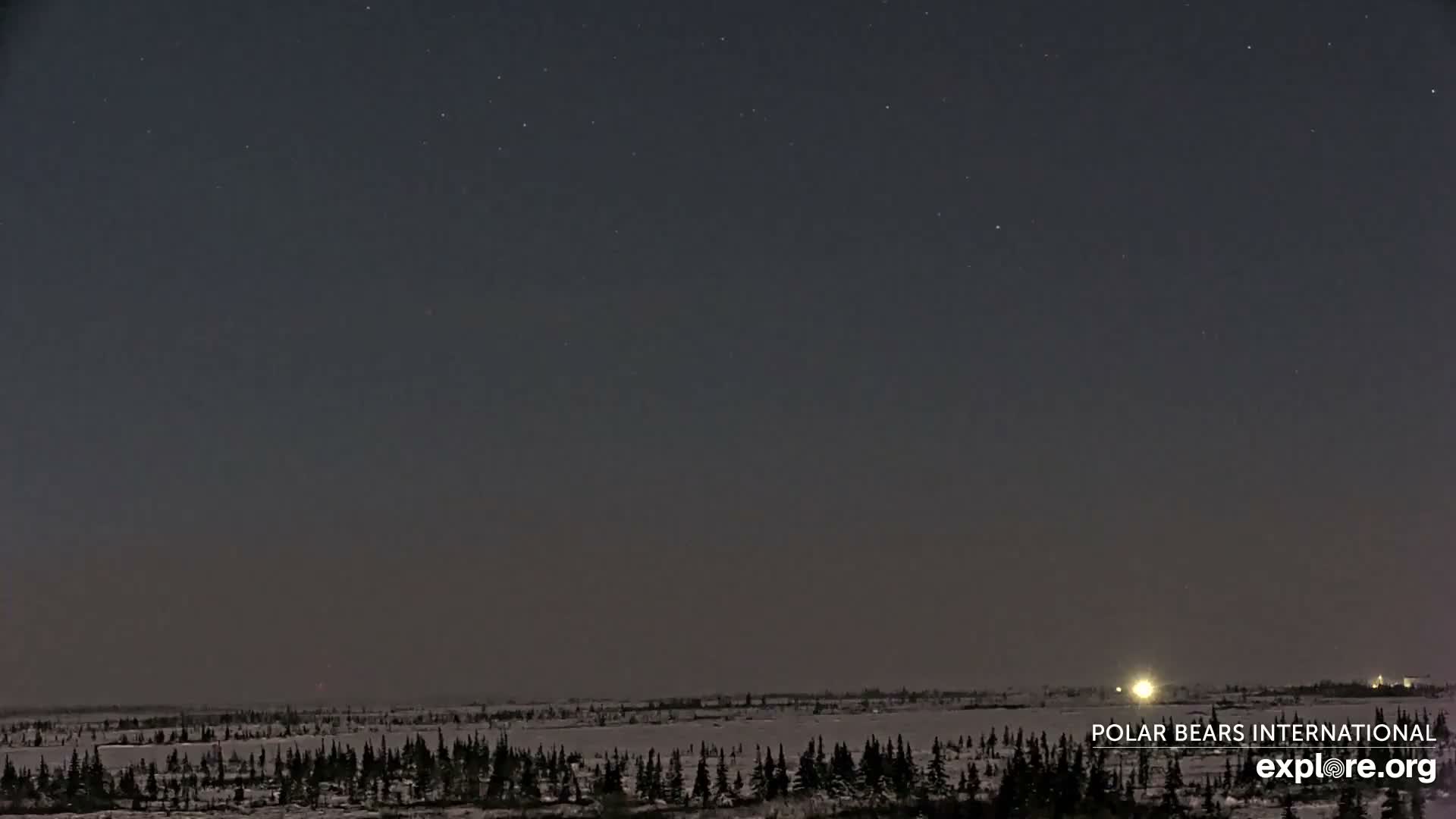 Churchill Marine Observatory, Northern Lights / Aurora Borealis / Stars View Live Cam - Churchill, Division No. 23, Northern Manitoba, Manitoba, Canada 