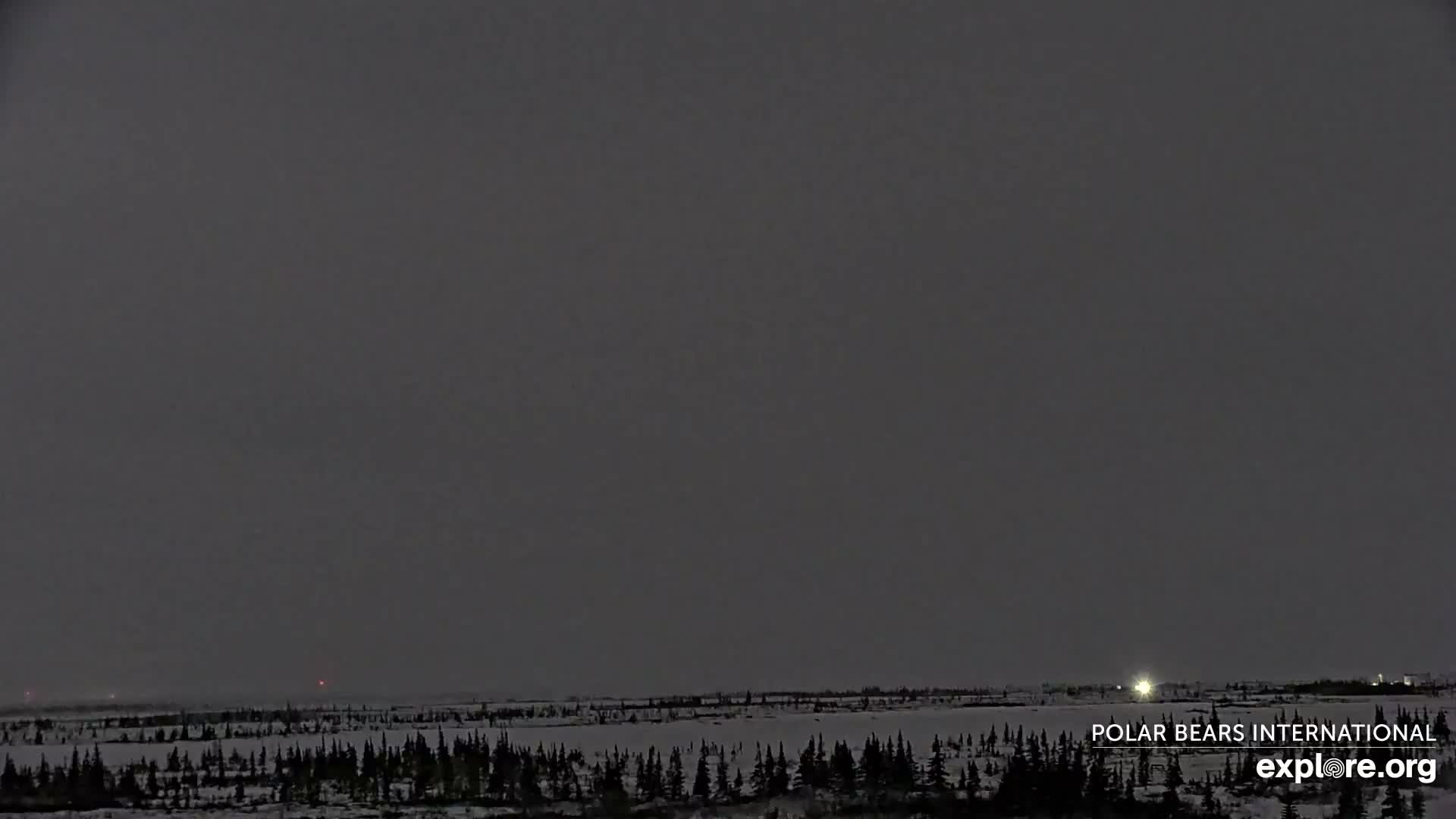 Churchill Marine Observatory, Northern Lights / Aurora Borealis / Stars View Live Cam - Churchill, Division No. 23, Northern Manitoba, Manitoba, Canada 