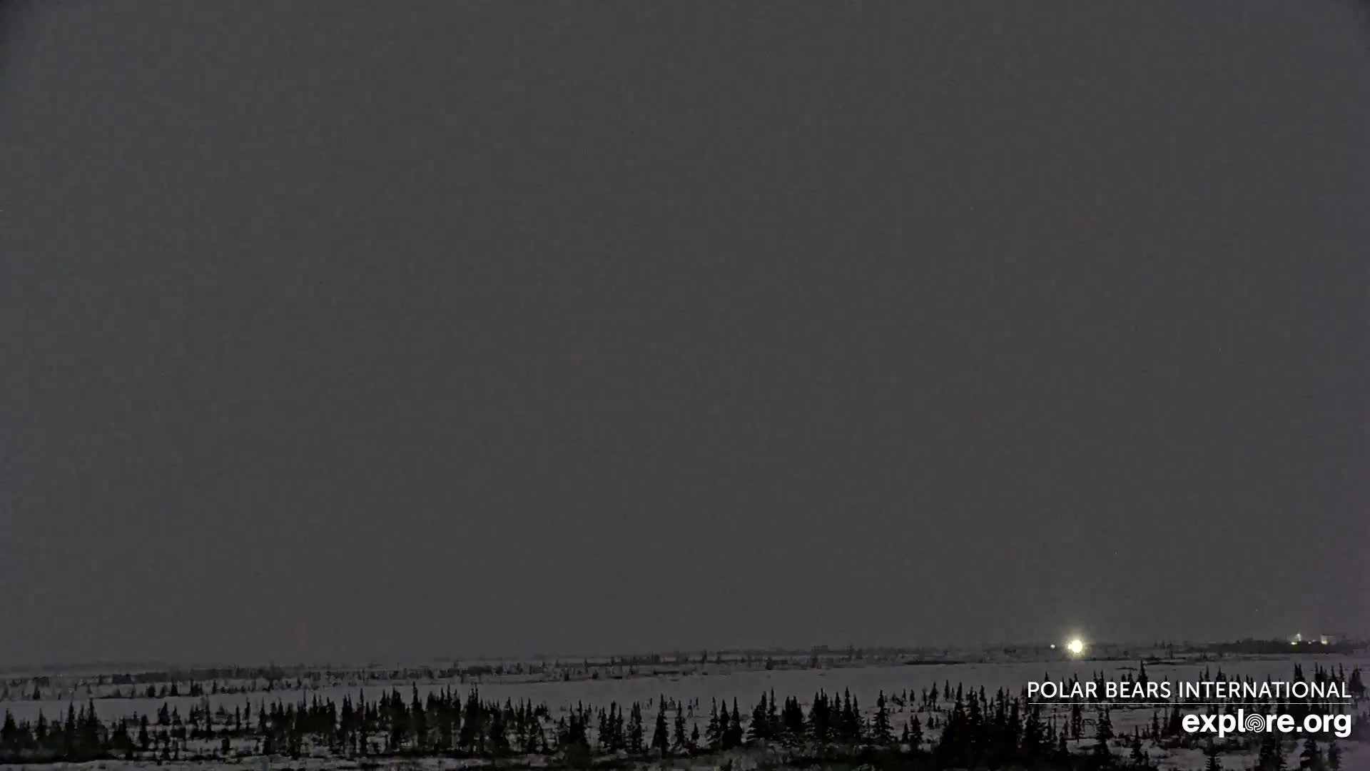 Churchill Marine Observatory, Northern Lights / Aurora Borealis / Stars View Live Cam - Churchill, Division No. 23, Northern Manitoba, Manitoba, Canada 