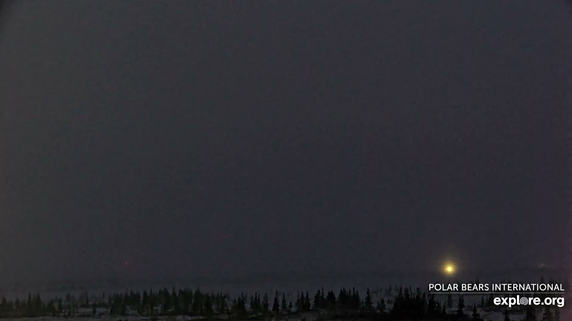 Churchill Marine Observatory, Northern Lights / Aurora Borealis / Stars View Live Cam - Churchill, Division No. 23, Northern Manitoba, Manitoba, Canada 